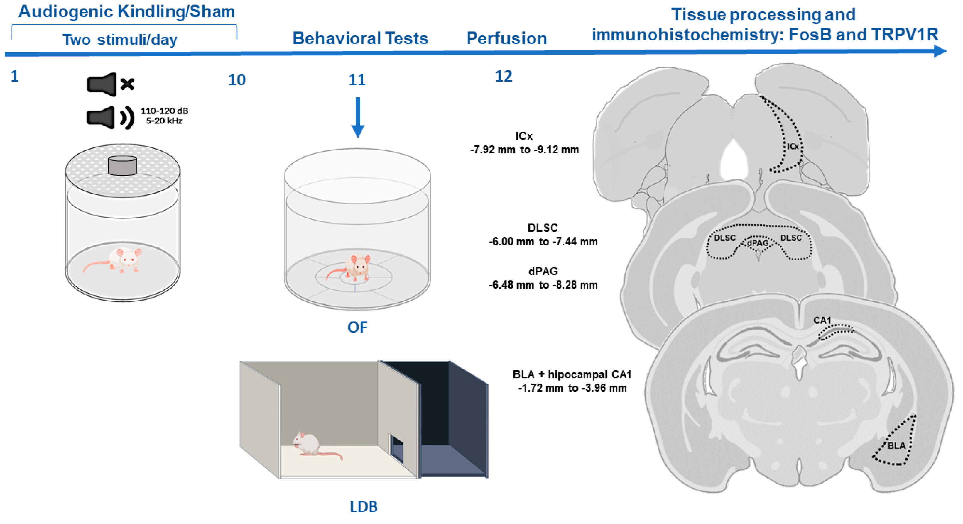 Biomedicines 10 00416 g001