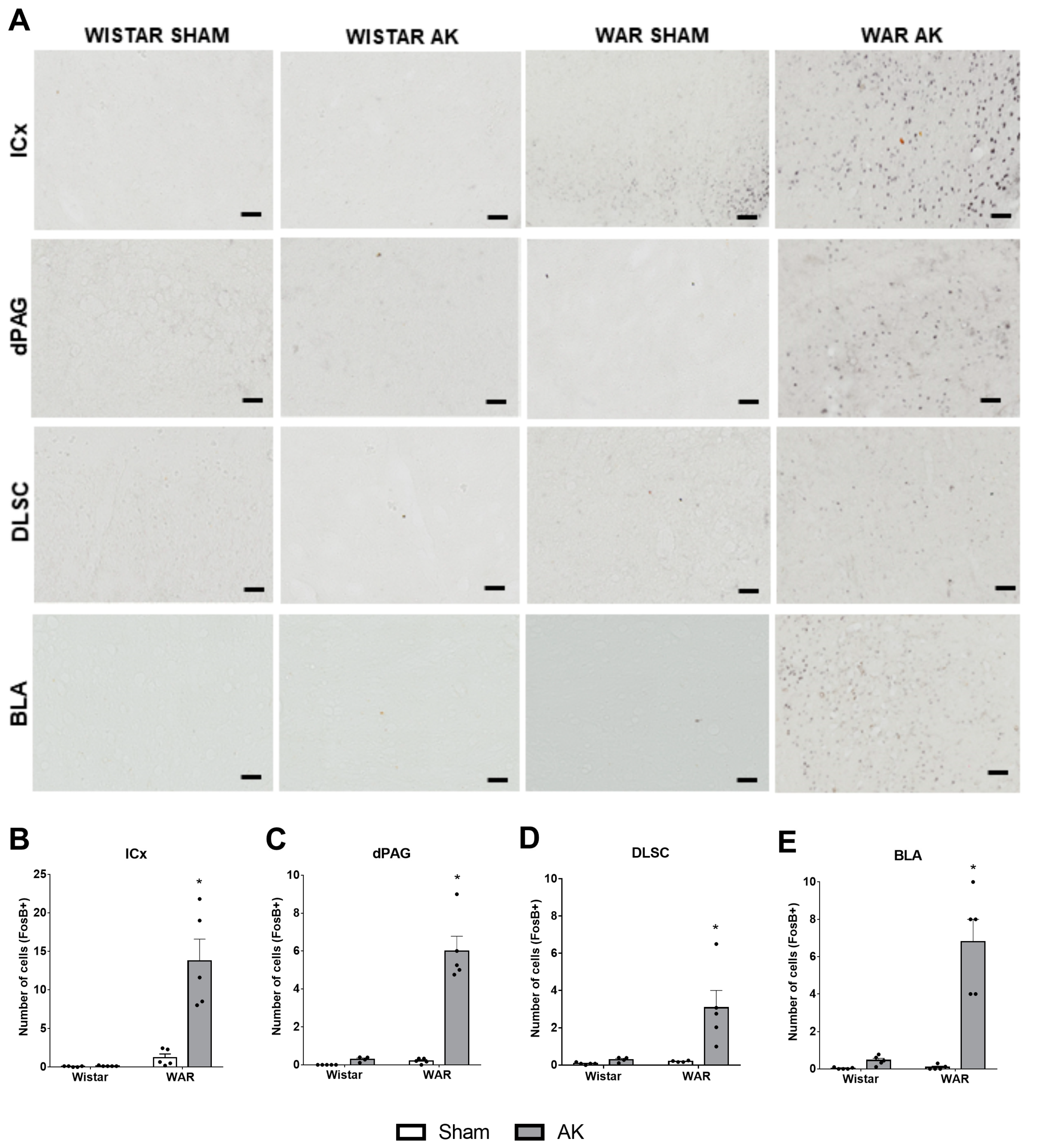 Biomedicines 10 00416 g005