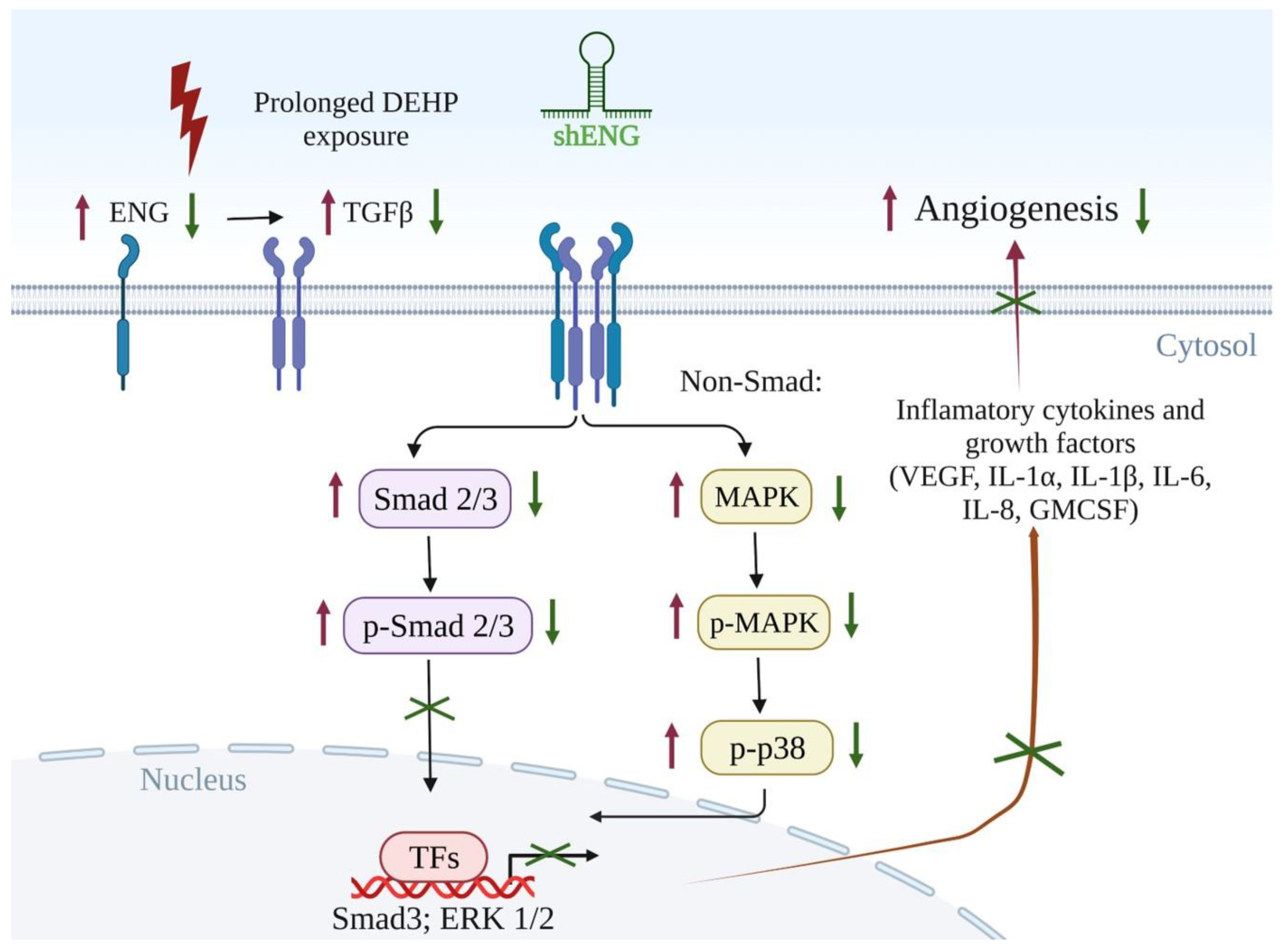 Biomedicines 10 00417 g007 Biomedicines 10 00417 g007