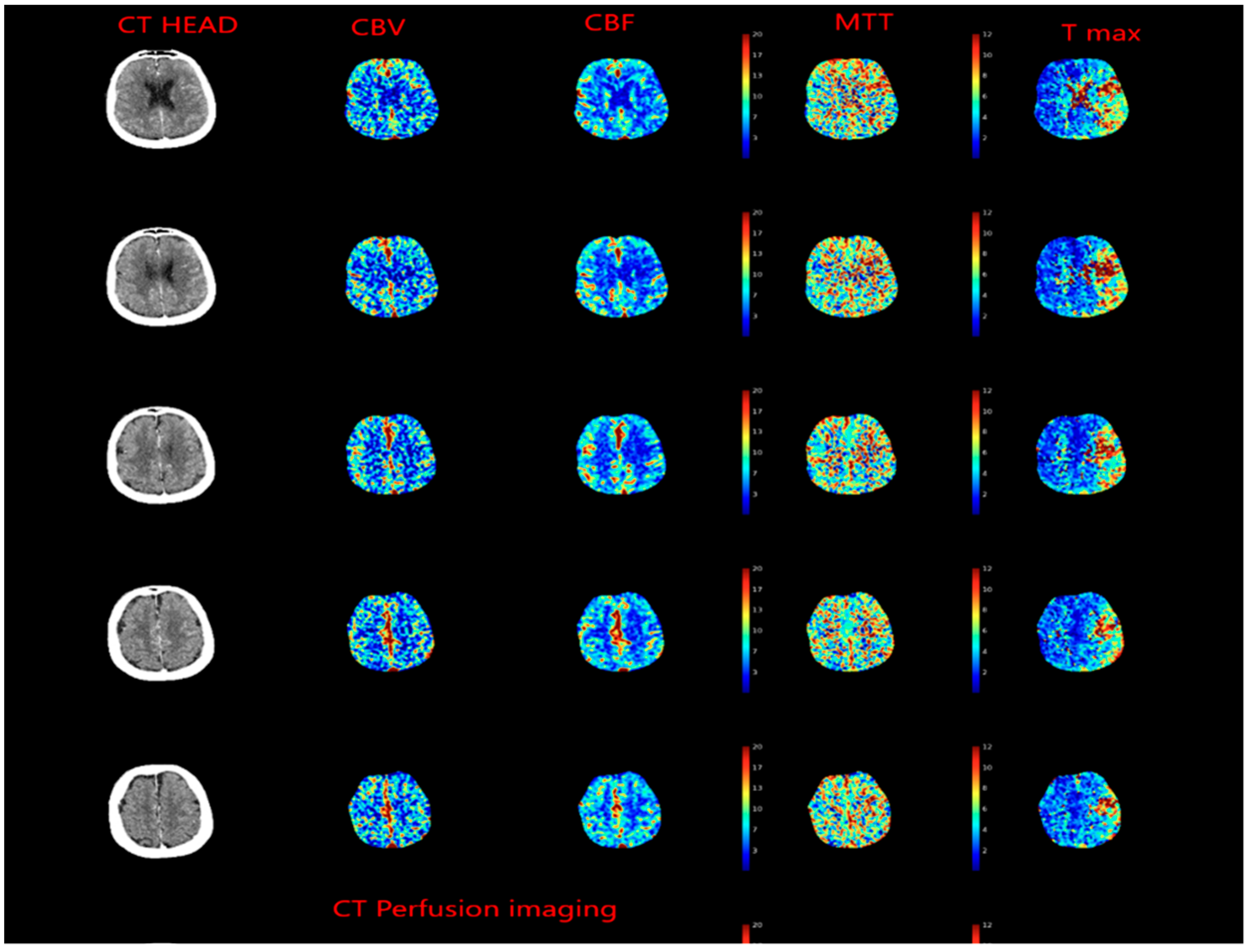 Biomedicines 10 00418 g004 550