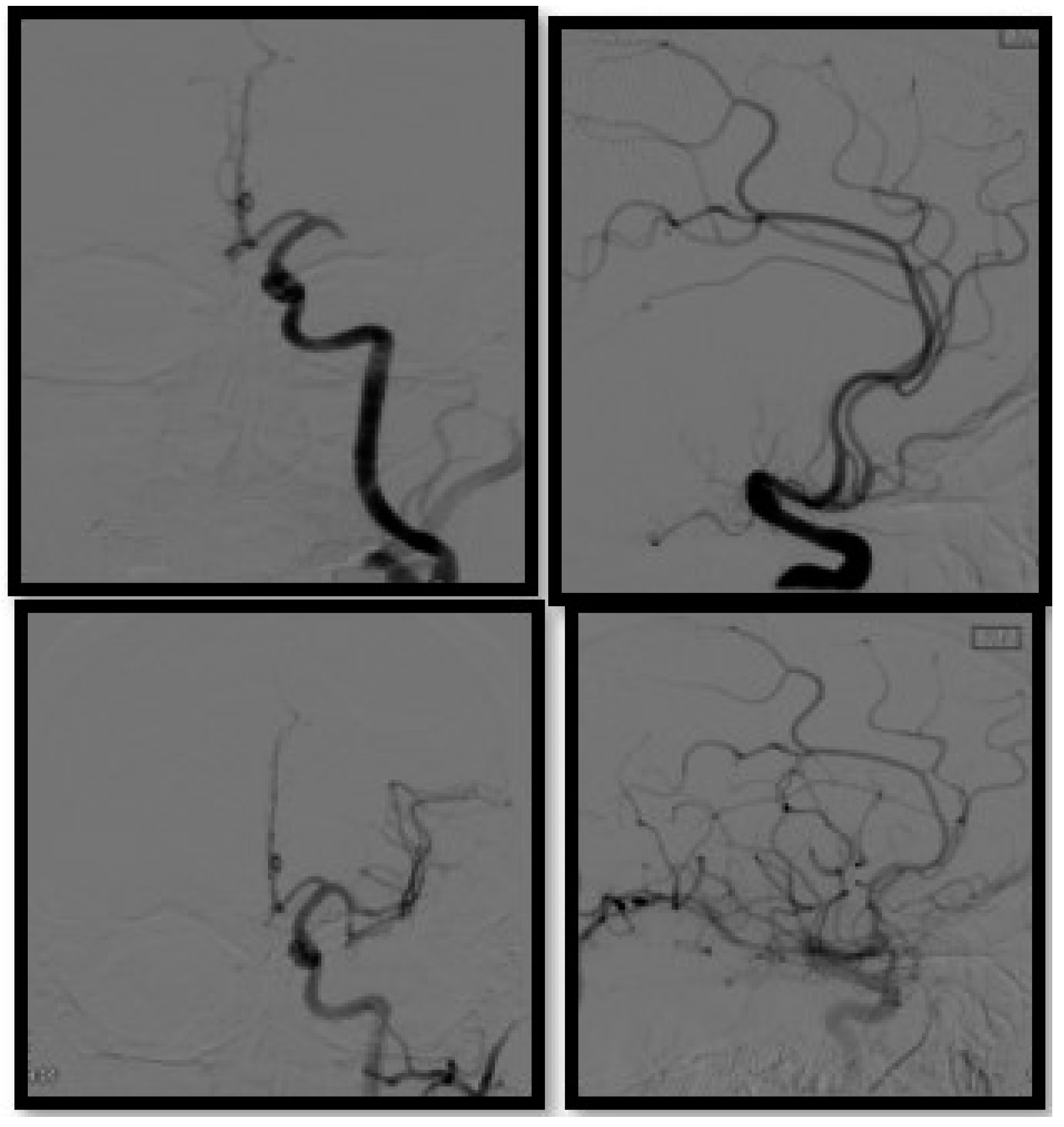 Biomedicines 10 00418 g005 550