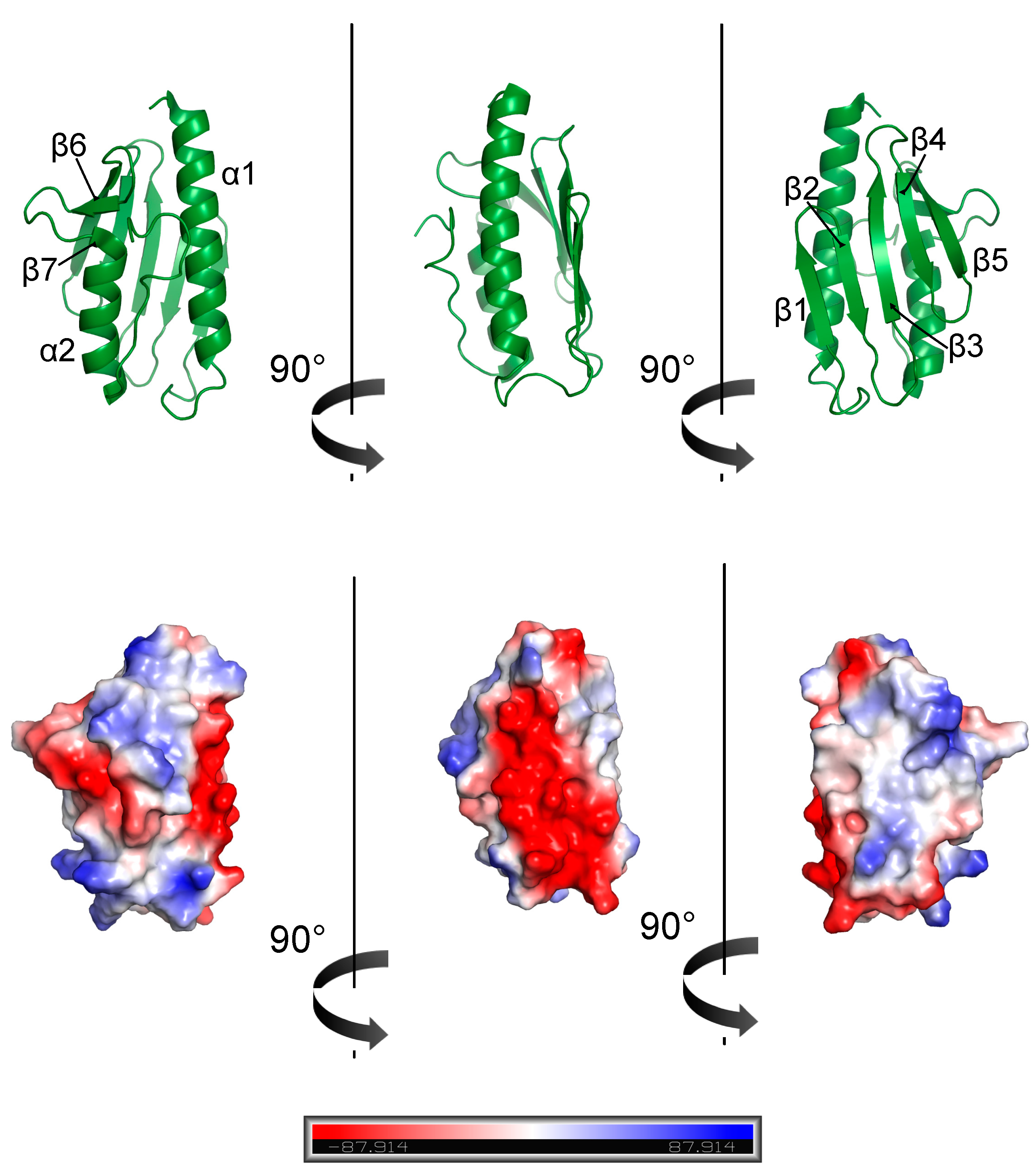 Biomedicines 10 00425 g002