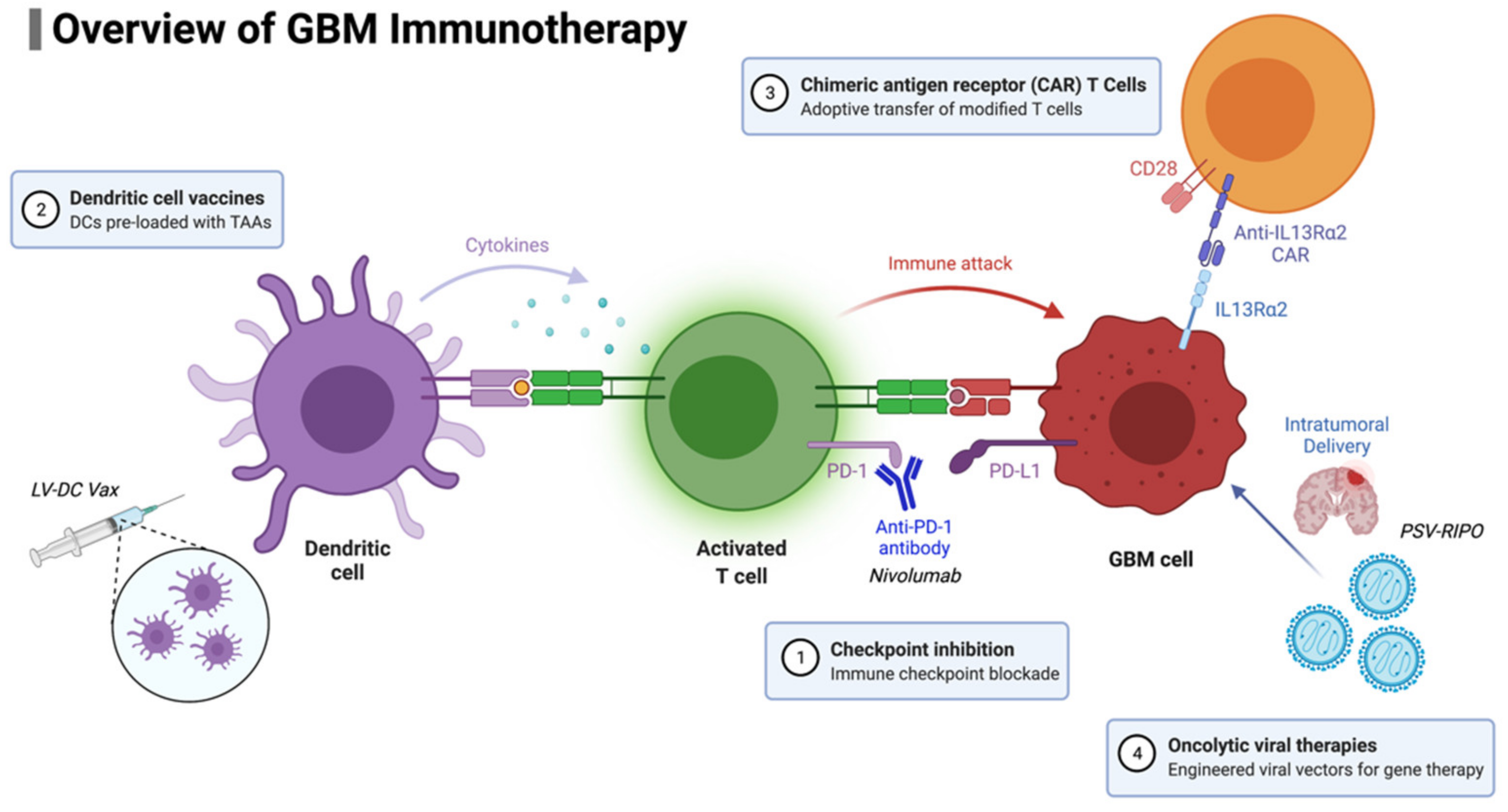 Biomedicines Free FullText Immunotherapeutic Approaches for