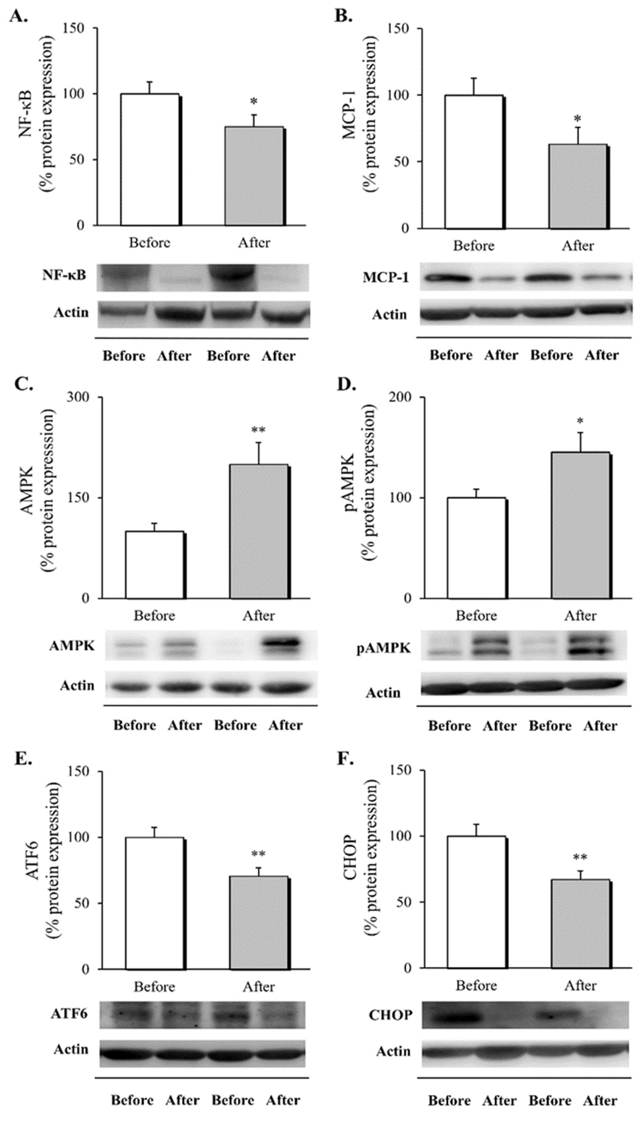 Biomedicines 10 00430 g001 550