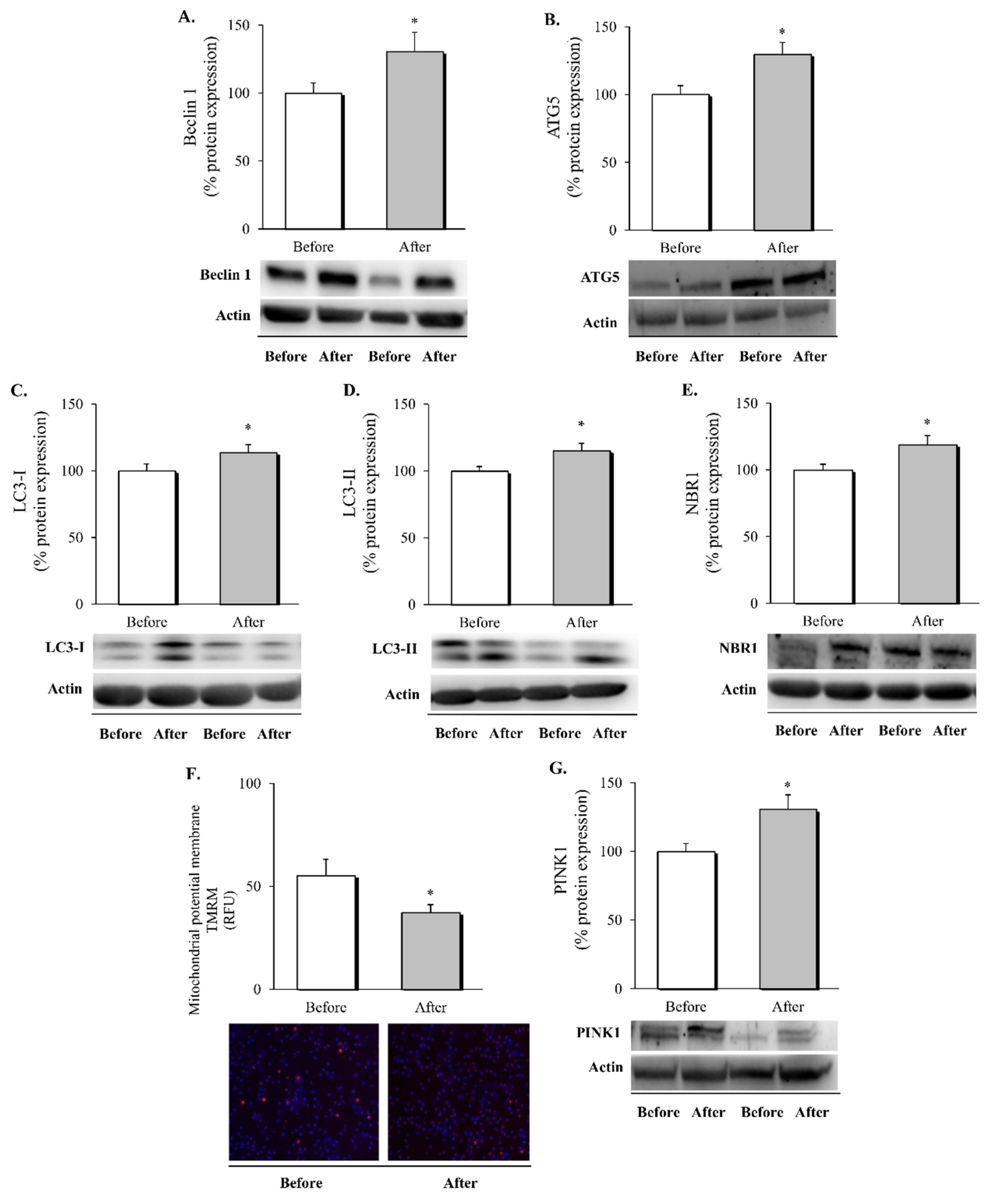 Biomedicines 10 00430 g002 550