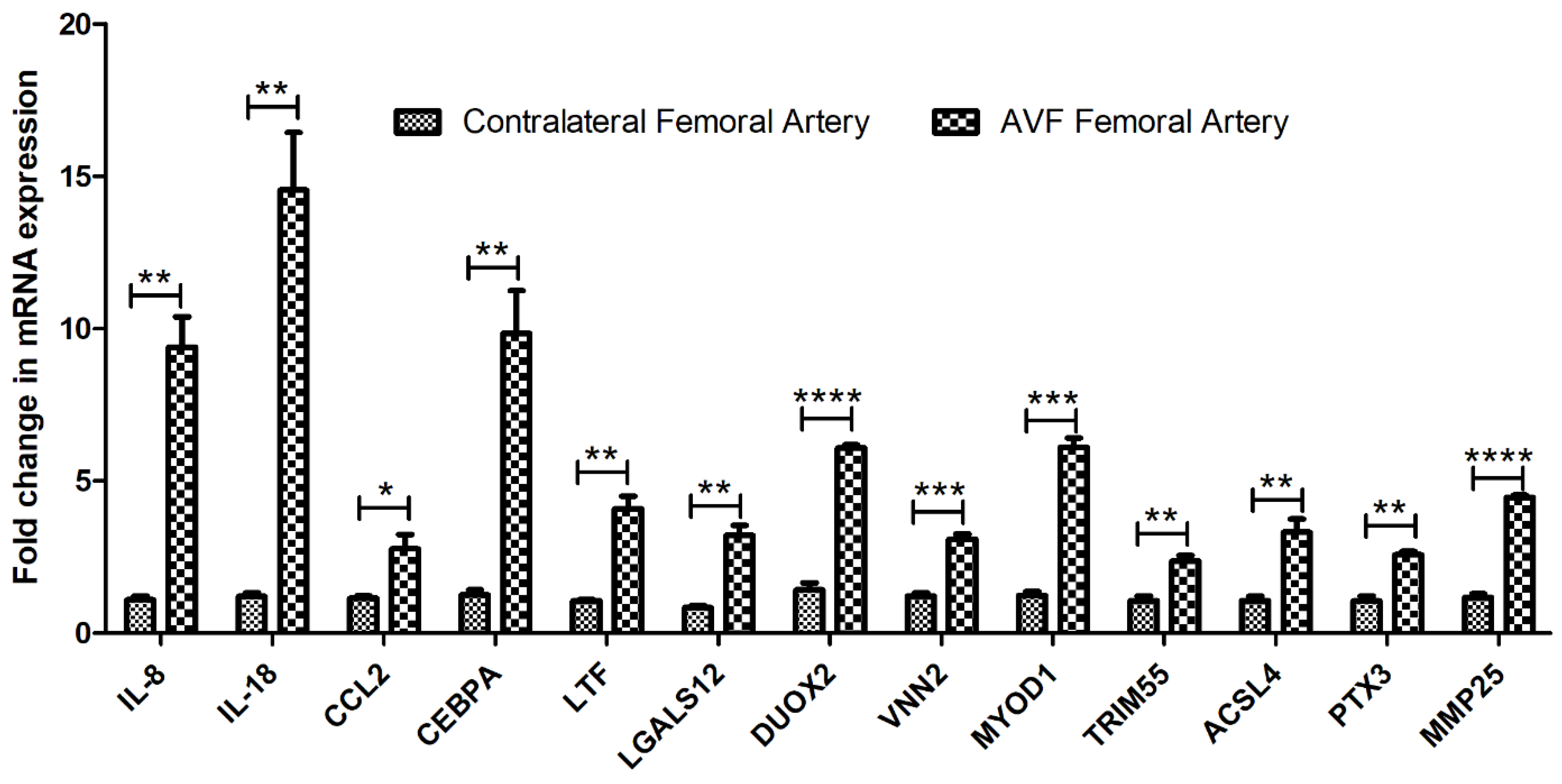 Biomedicines 10 00433 g002 Biomedicines 10 00433 g002