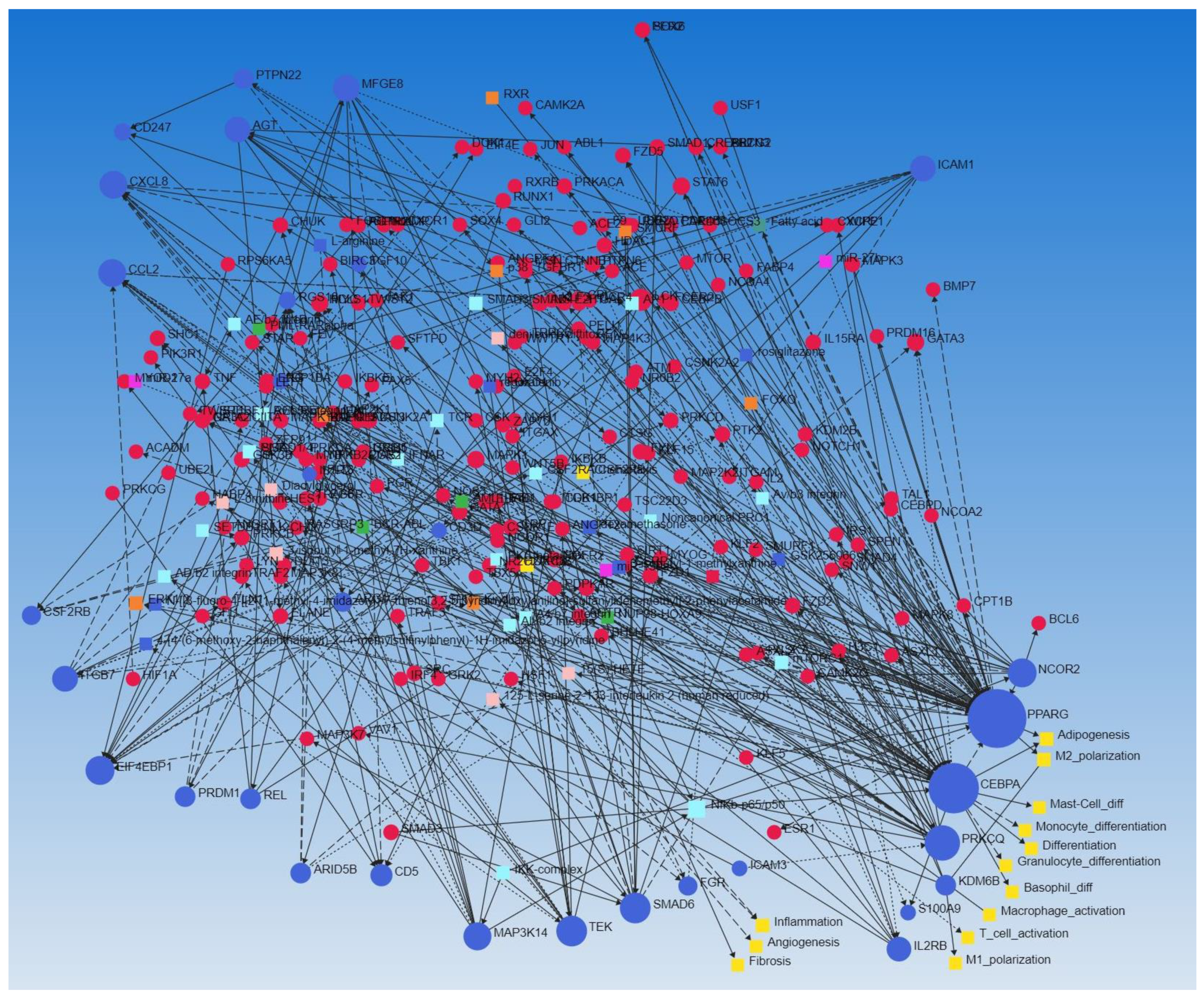 Biomedicines 10 00433 g003 Biomedicines 10 00433 g003