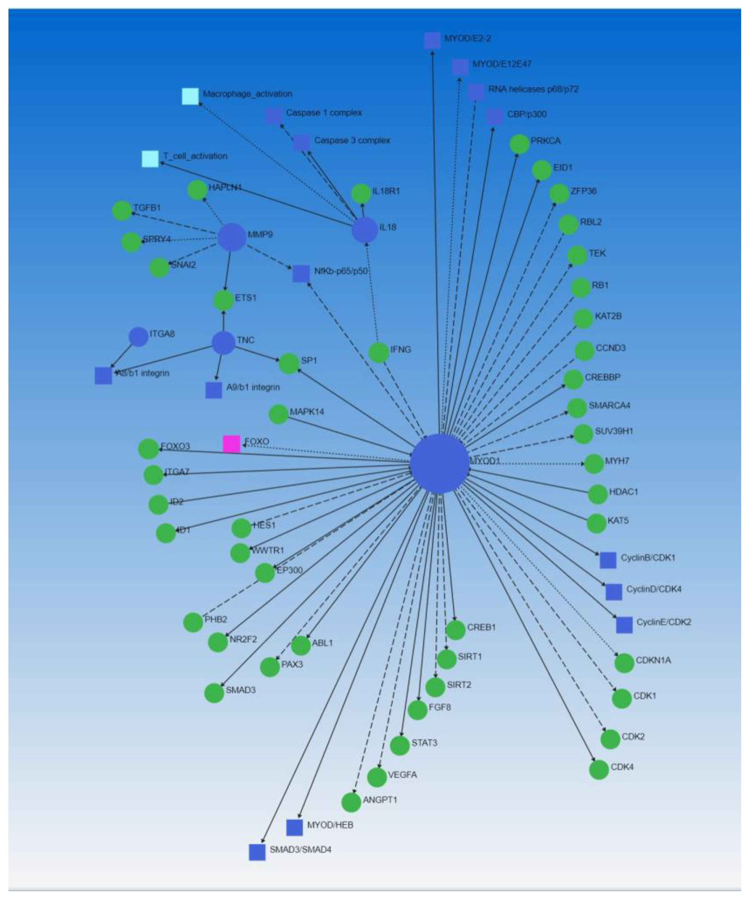 Biomedicines 10 00433 g005 Biomedicines 10 00433 g005