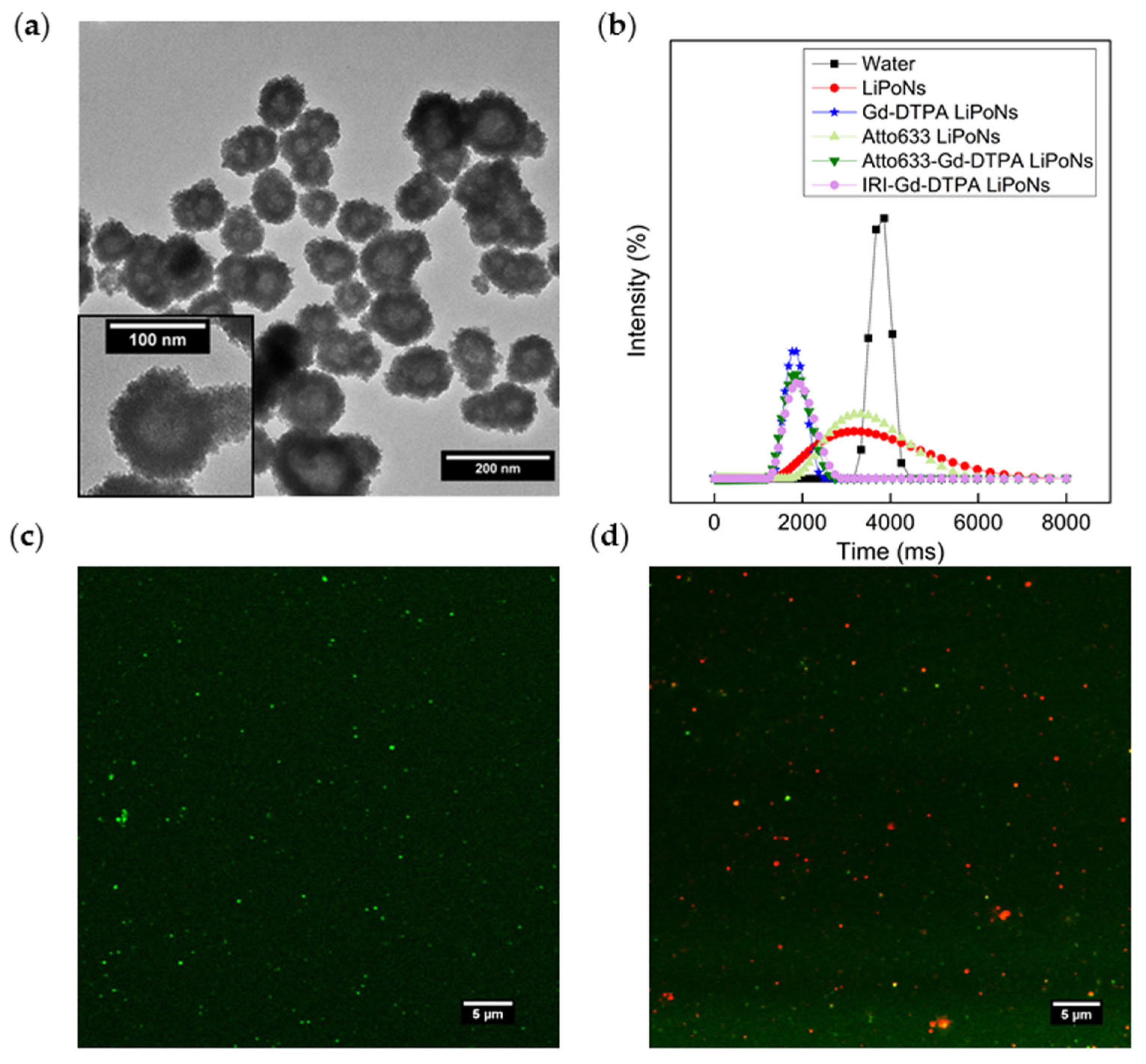 Biomedicines 10 00438 g005 Biomedicines 10 00438 g005