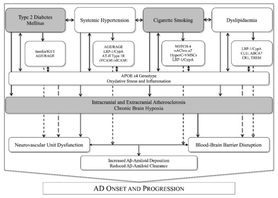 Shared Molecular Mechanisms among Alzheimer's Disease