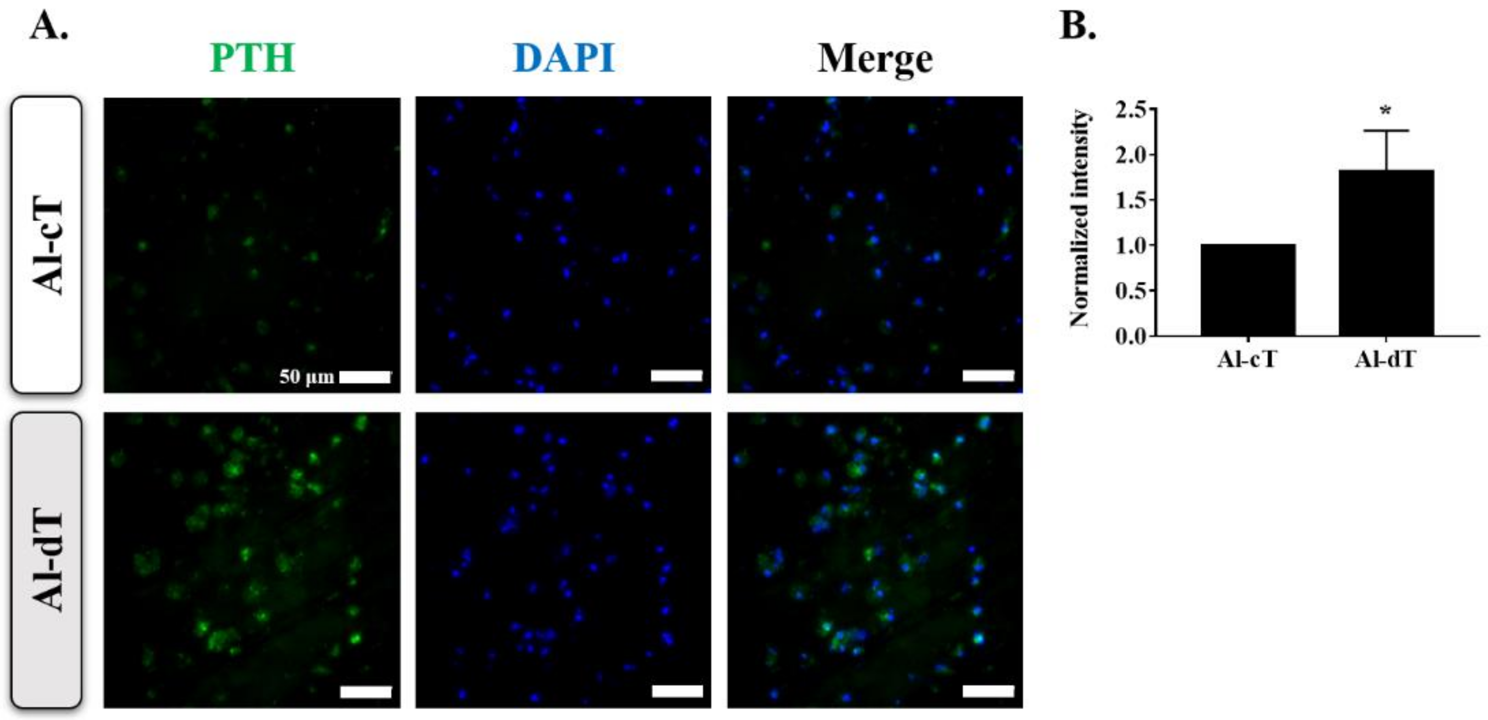 Biomedicines 10 00440 g003 550