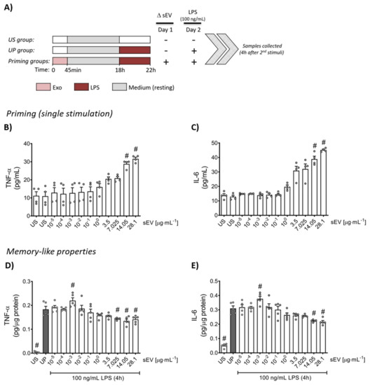 Gut Microbiota-Derived Small Extracellular Vesicles Endorse