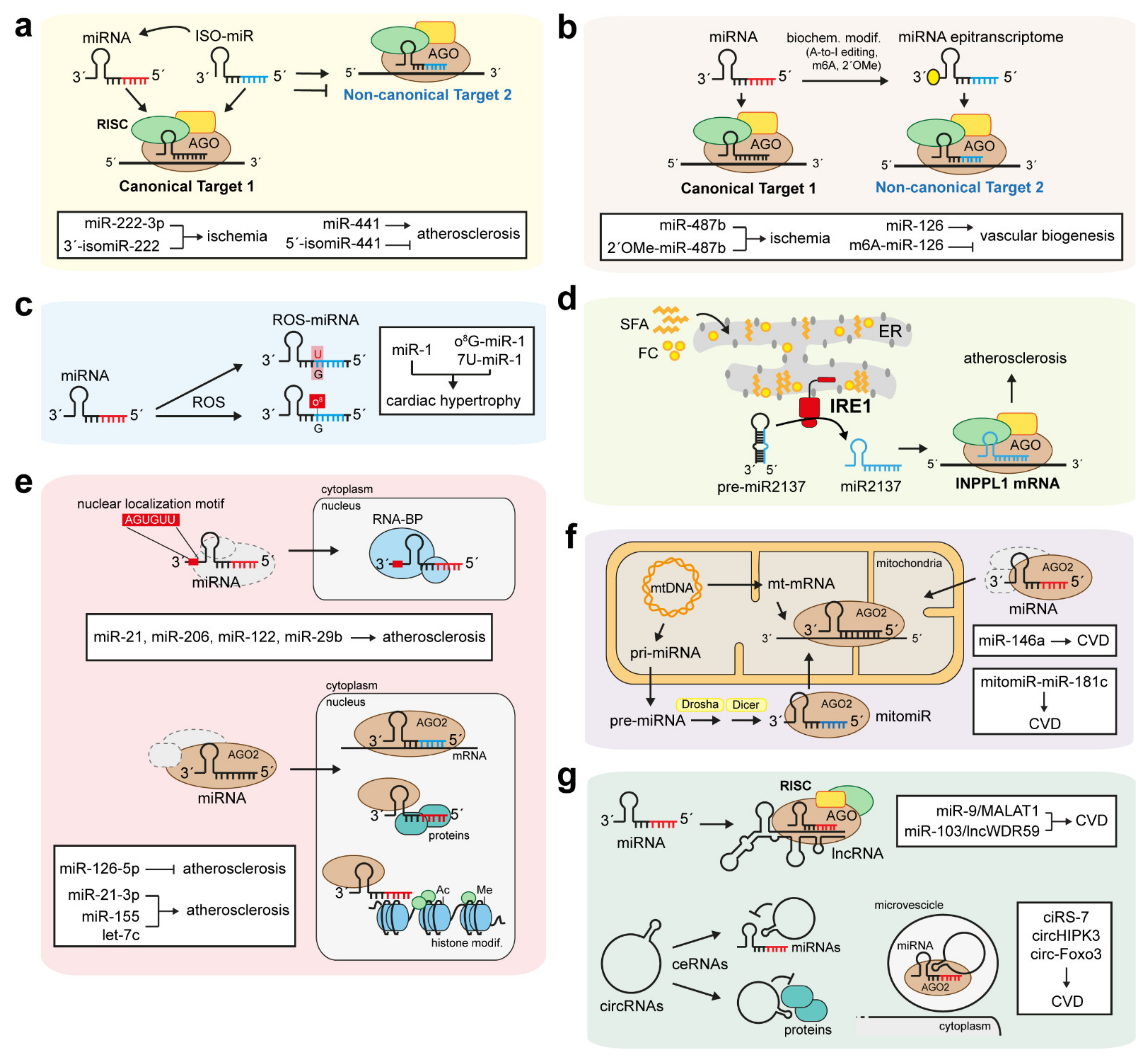 Biomedicines 10 00445 g002
