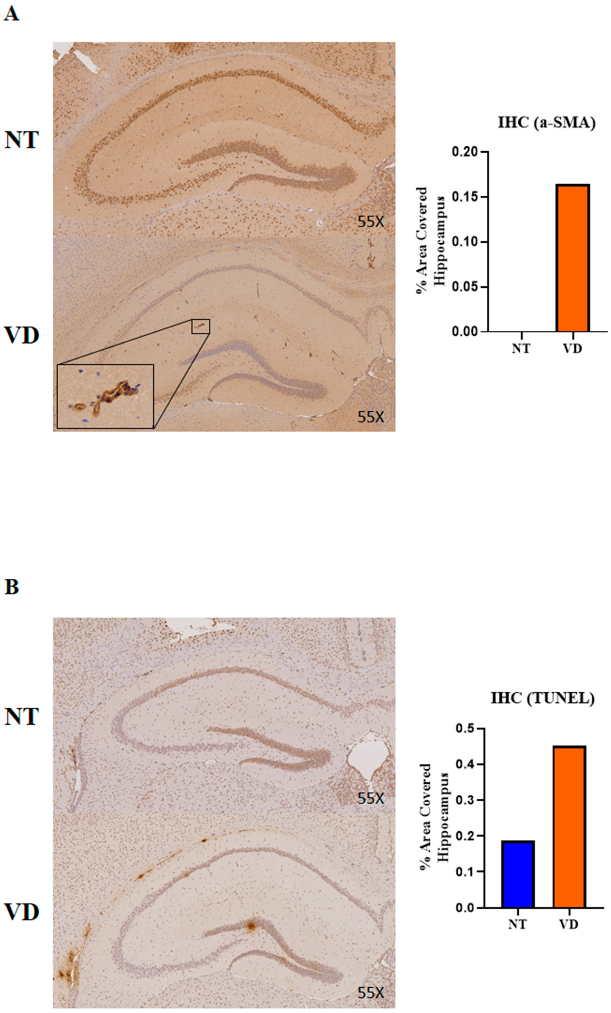 Biomedicines 10 00446 g009