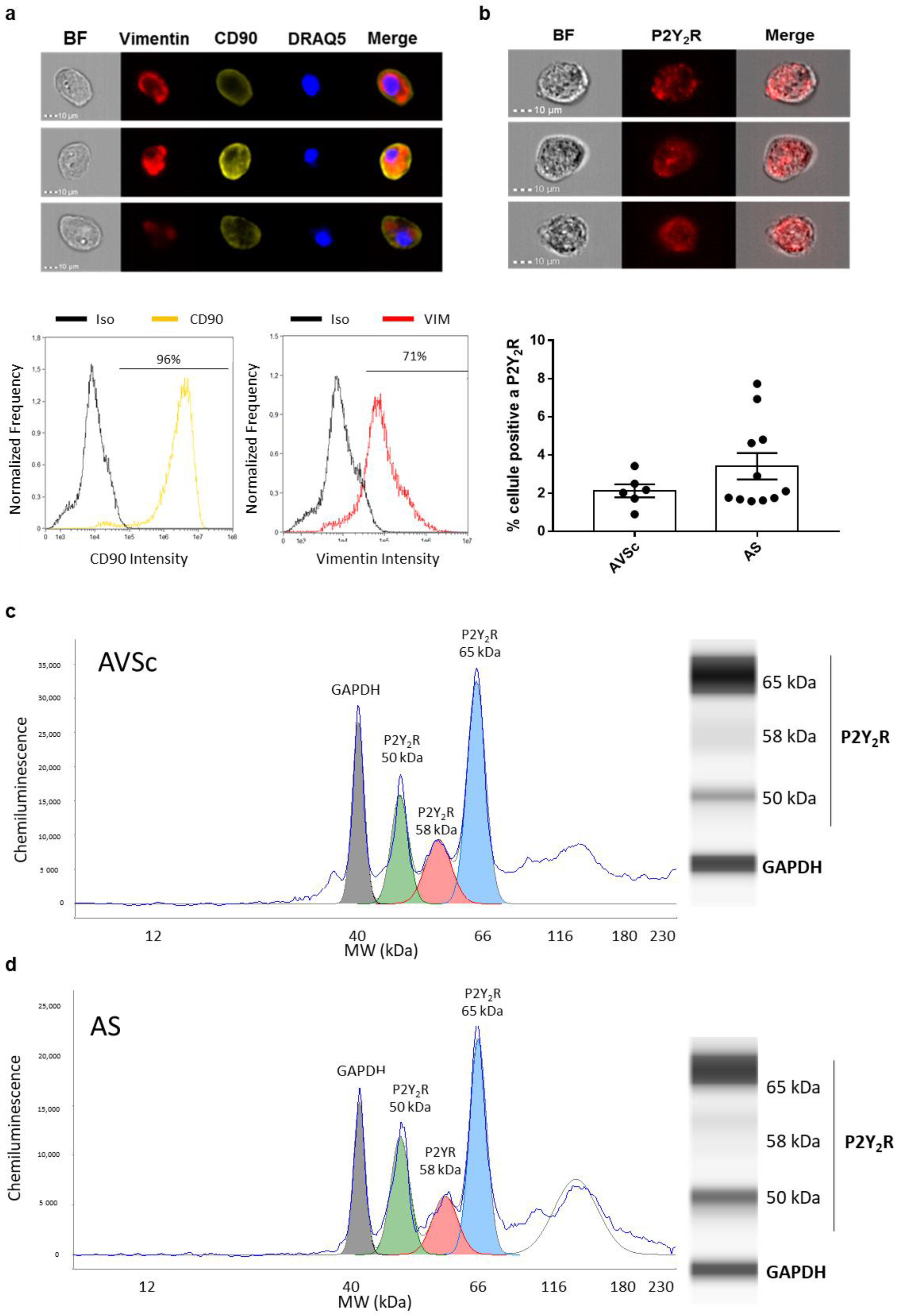Biomedicines 10 00457 g001