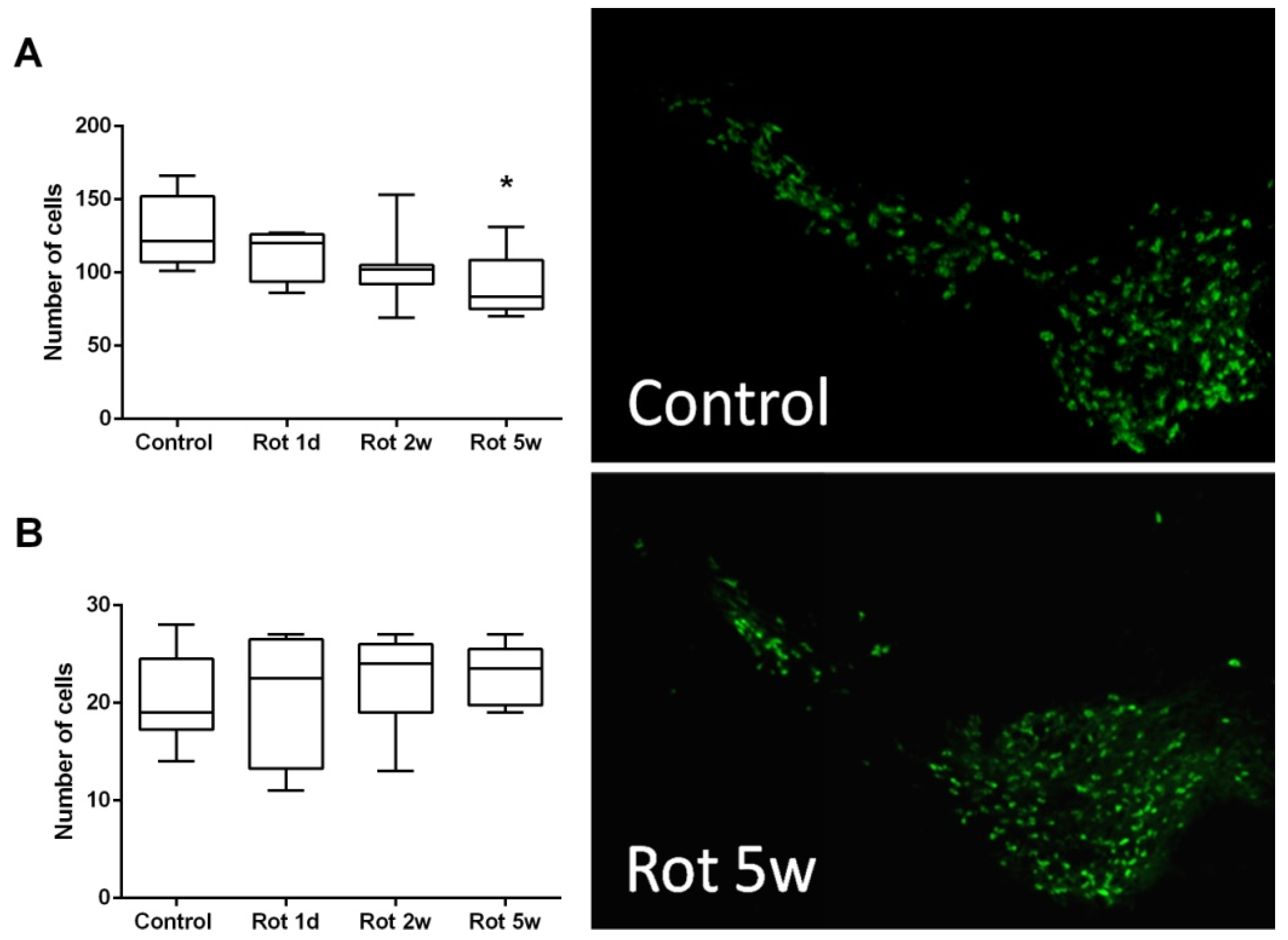 Biomedicines 10 00466 g003