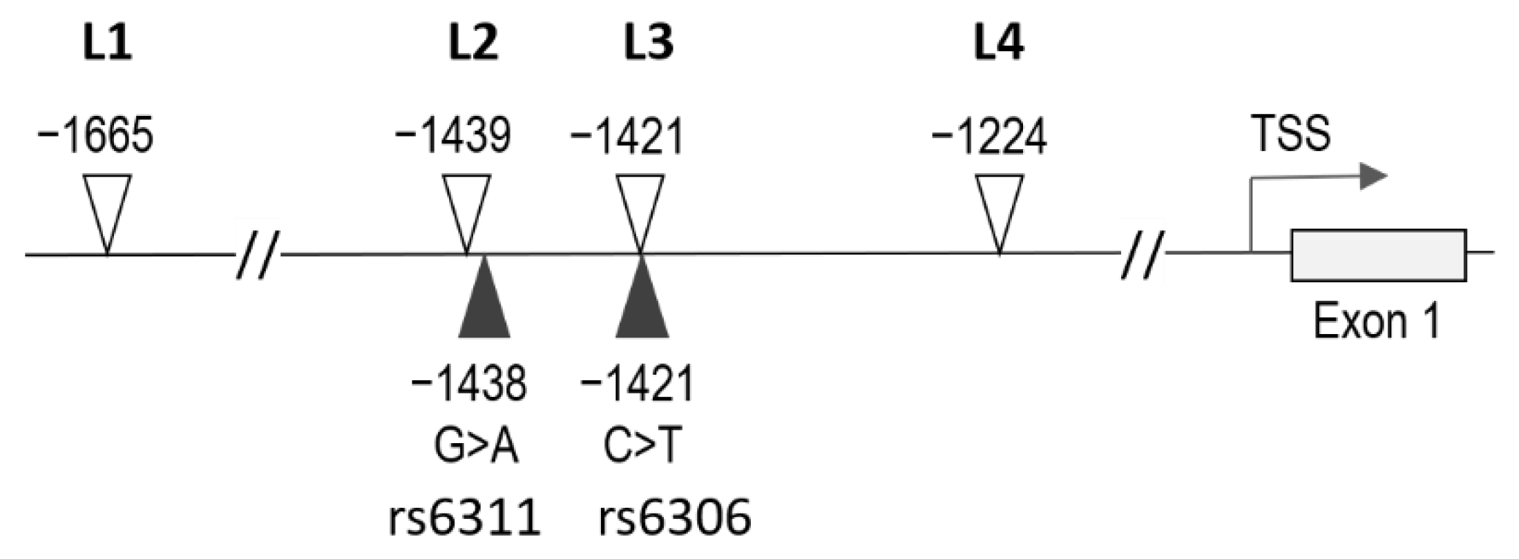 Biomedicines 10 00467 g001