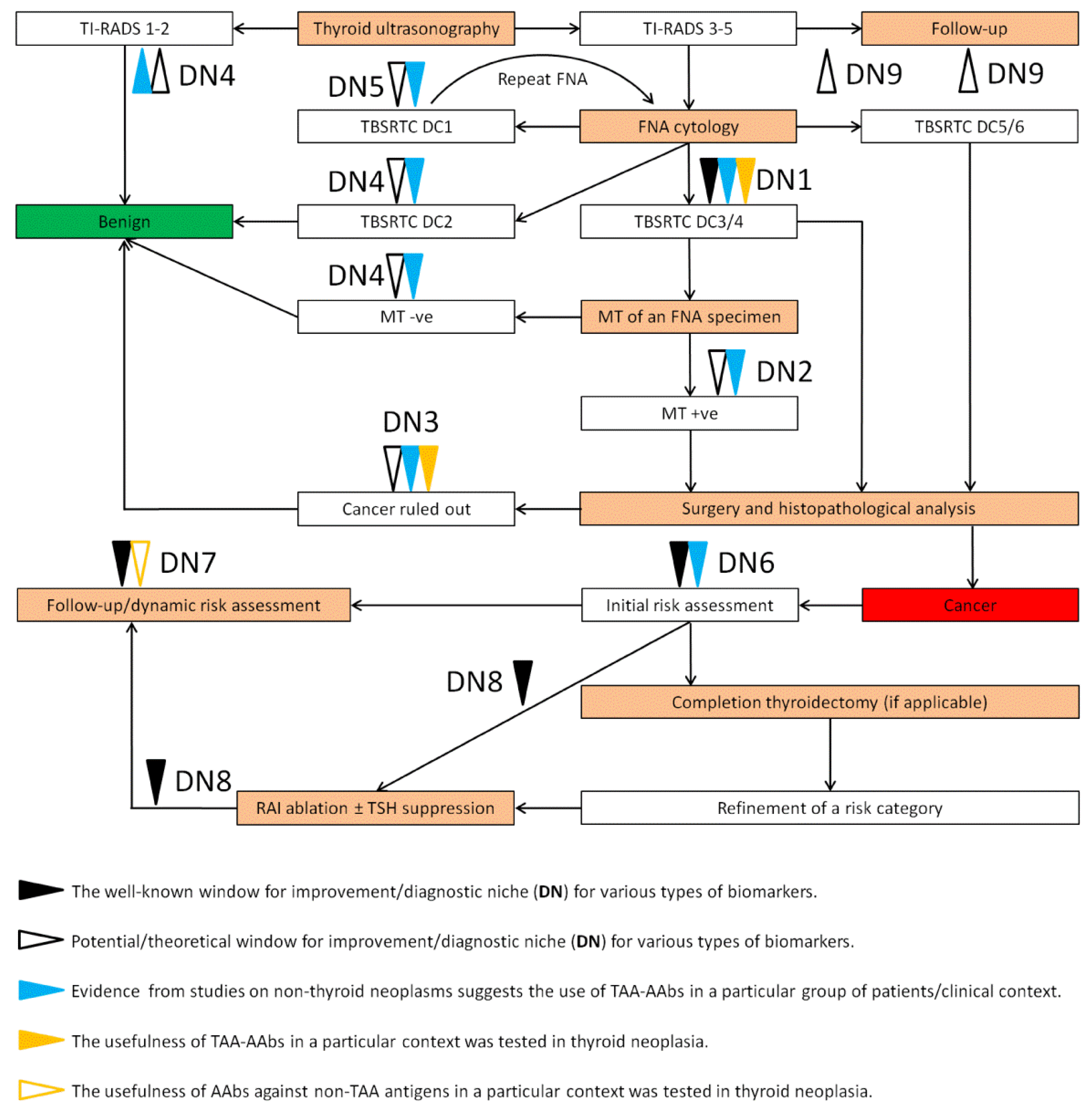 Biomedicines 10 00468 g001 Biomedicines 10 00468 g001