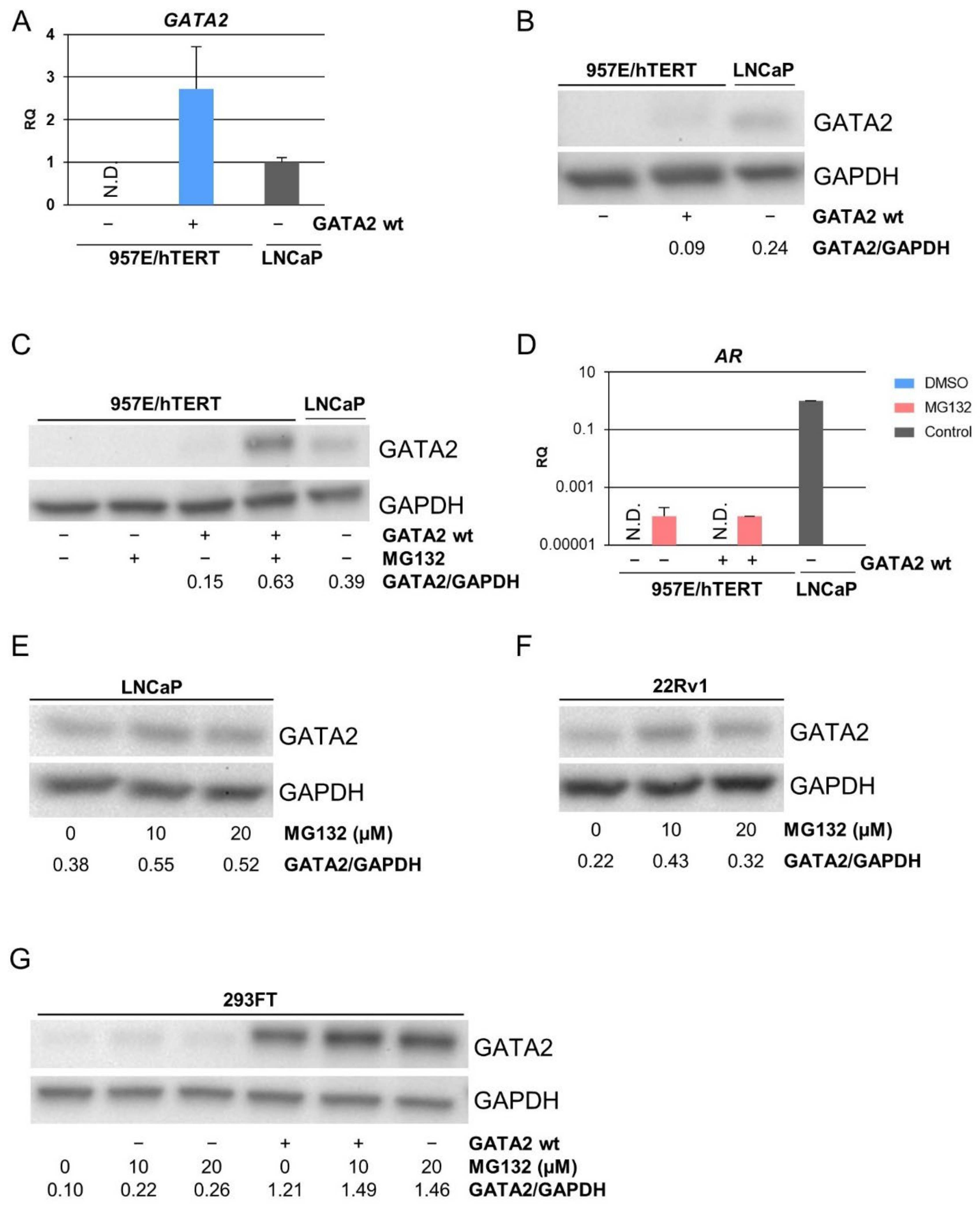 Biomedicines 10 00473 g001