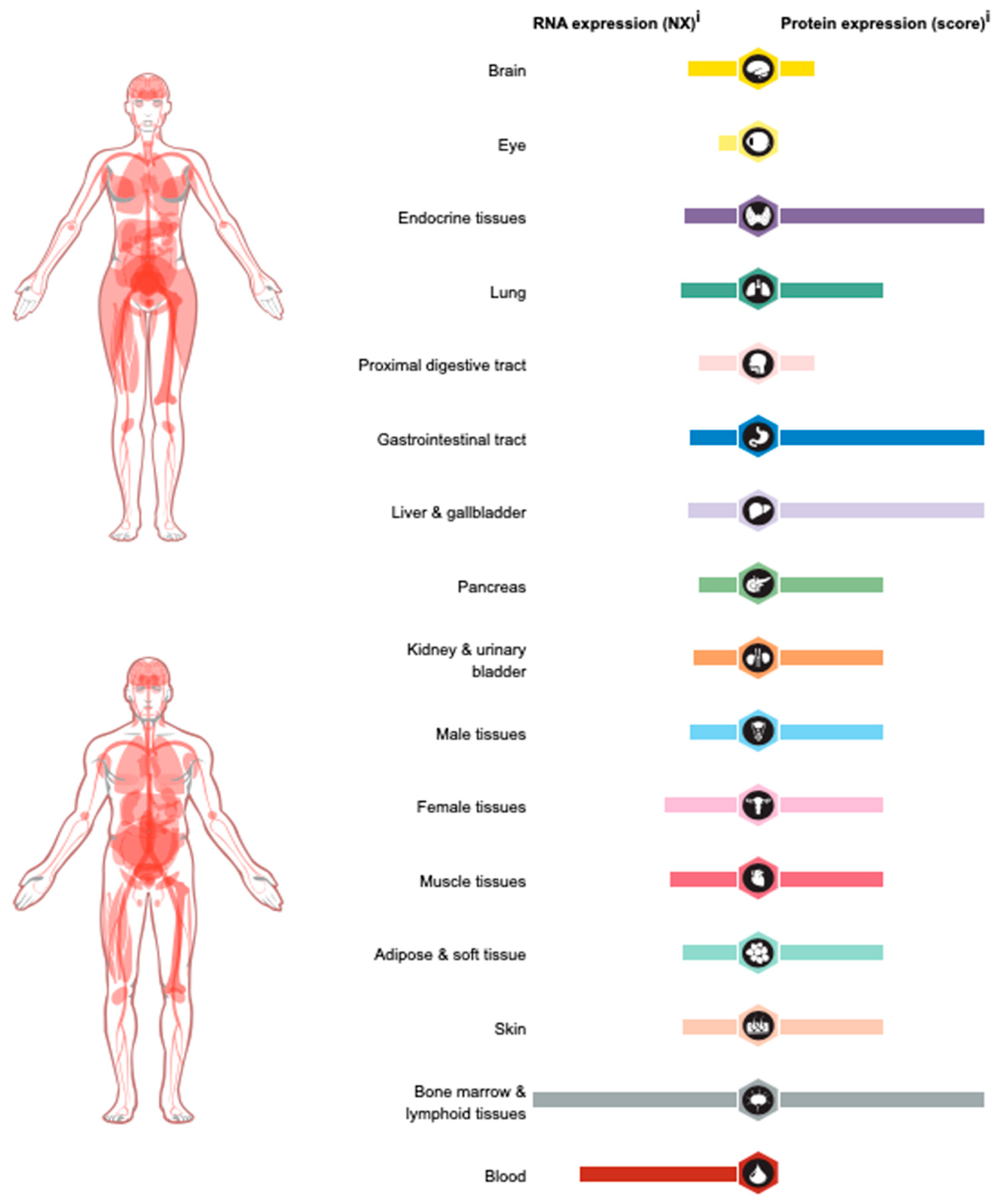 Biomedicines 10 00474 g002