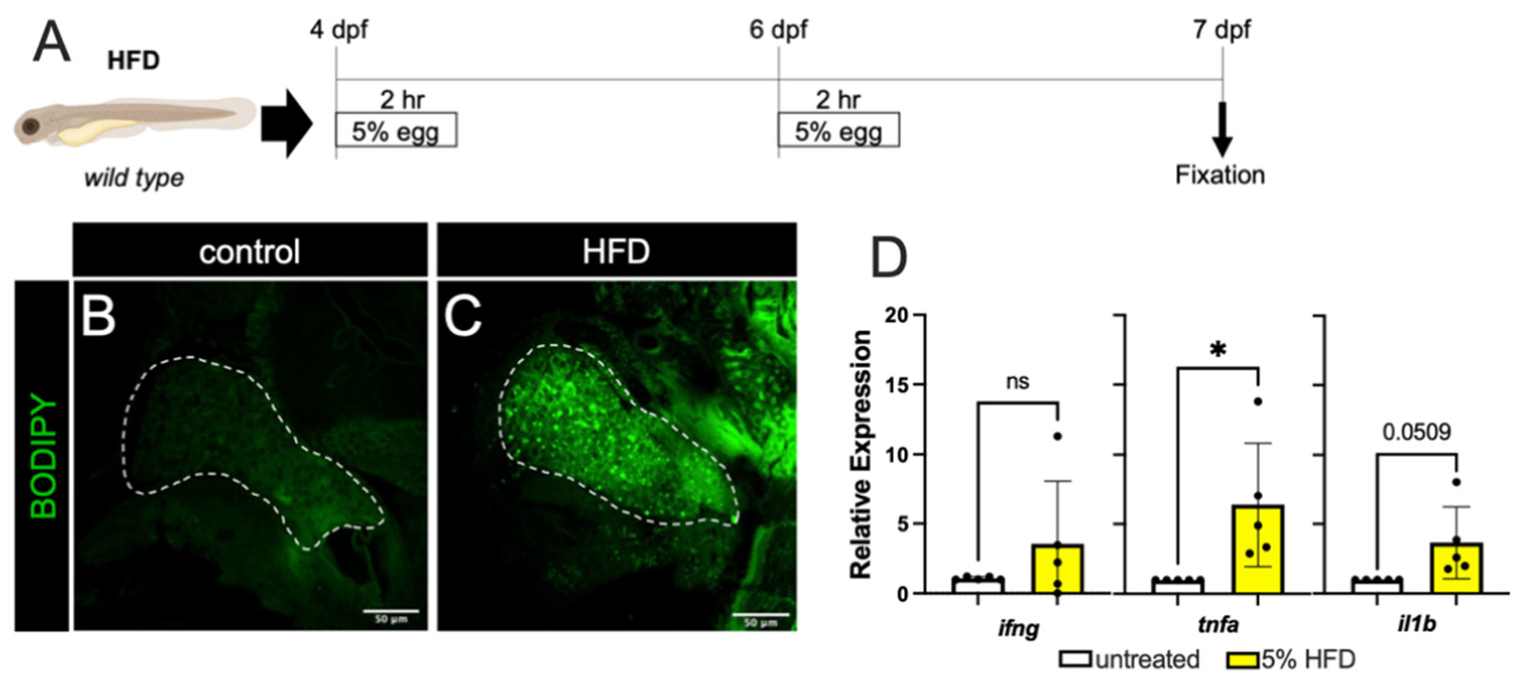 Biomedicines 10 00479 g001
