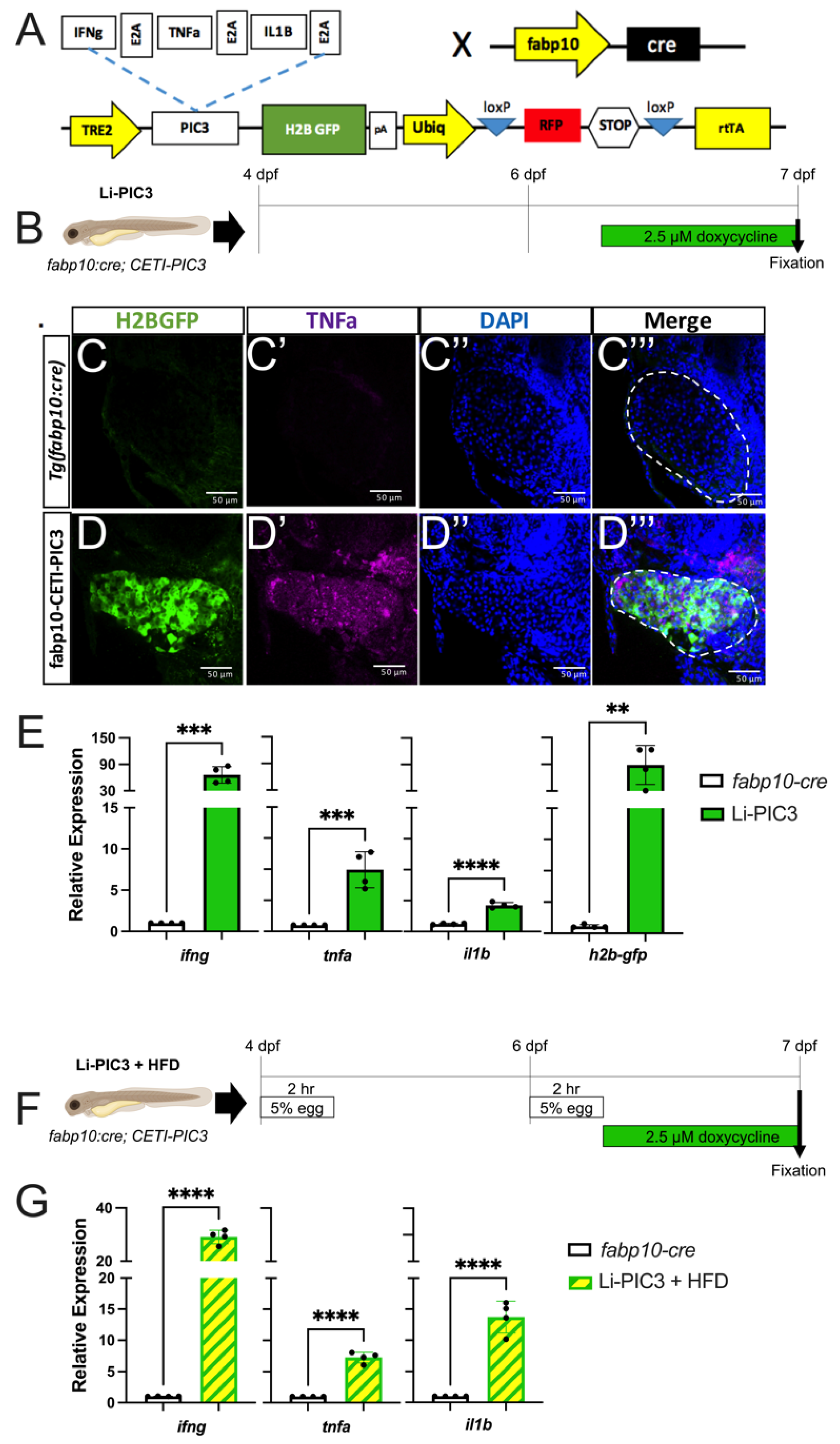 Biomedicines 10 00479 g002