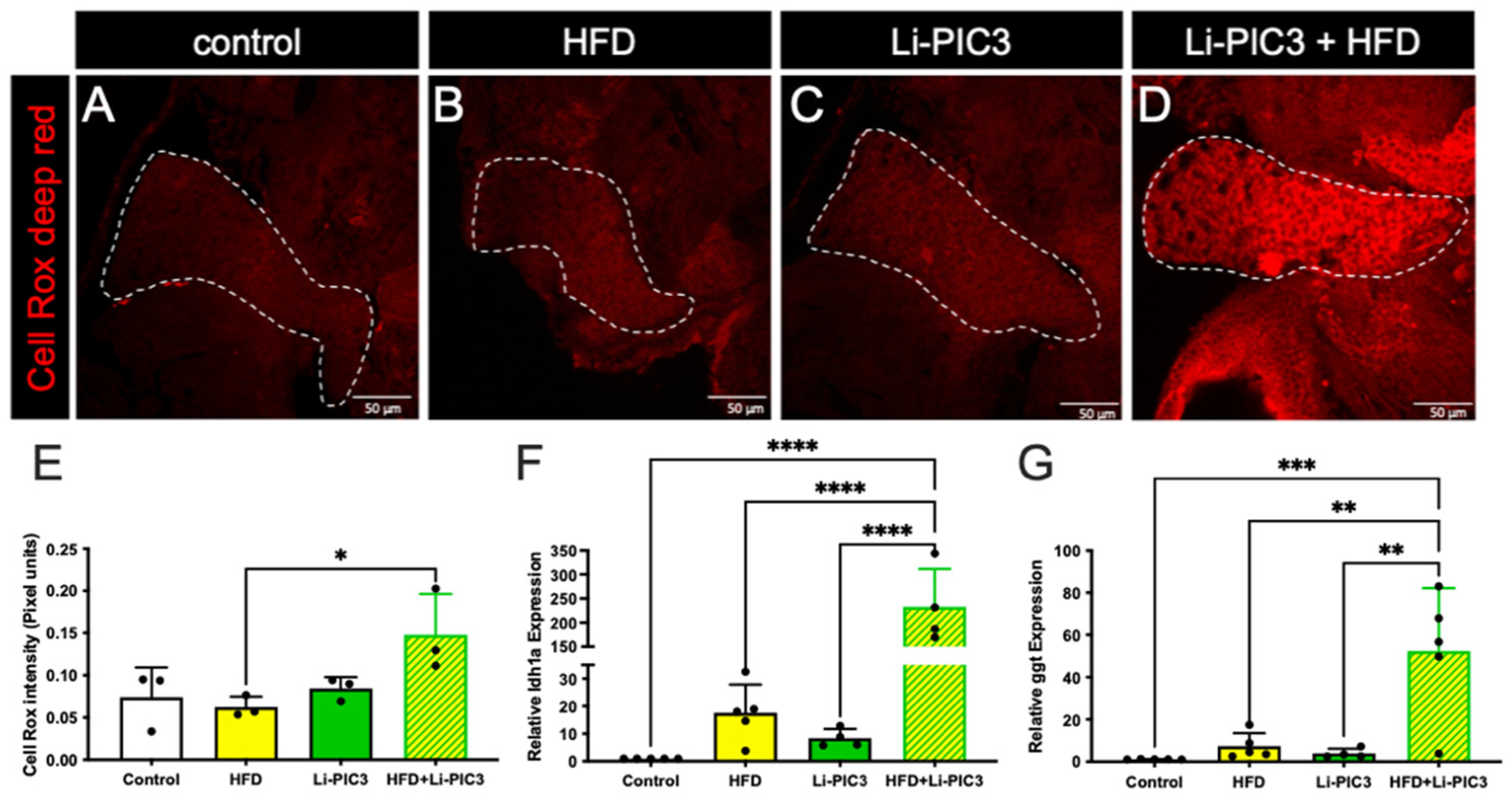 Biomedicines 10 00479 g004