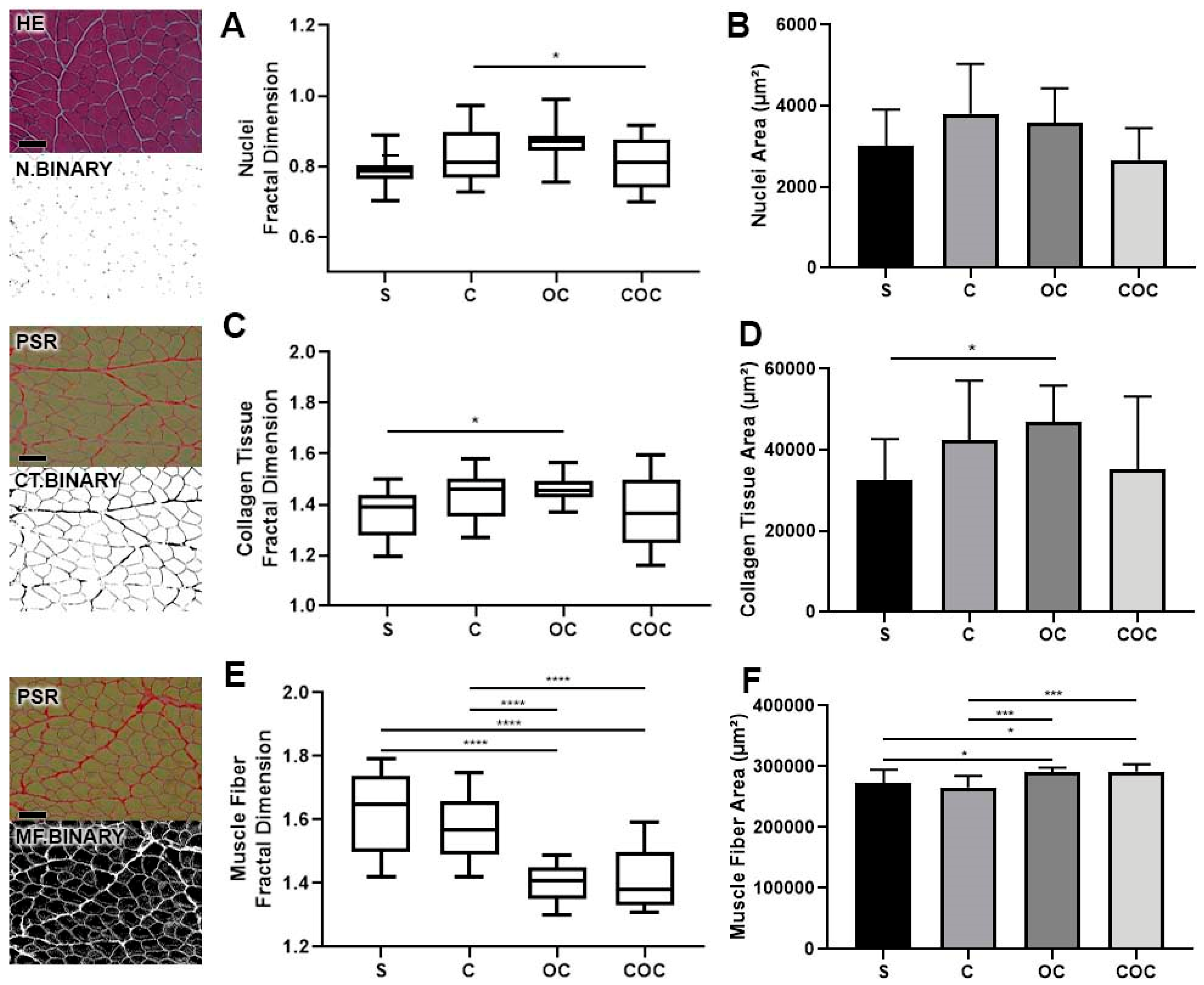 Biomedicines 10 00480 g002
