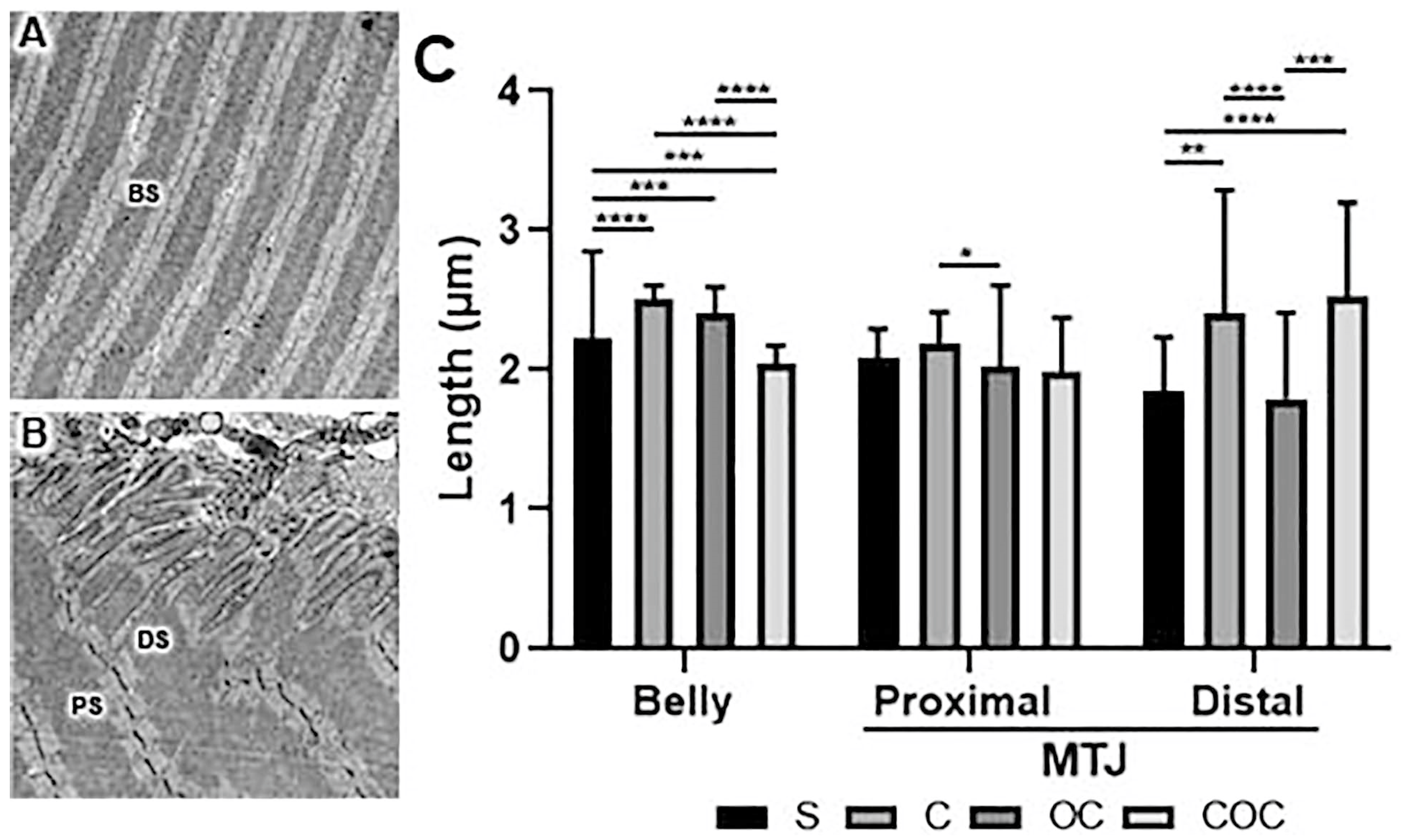Biomedicines 10 00480 g003