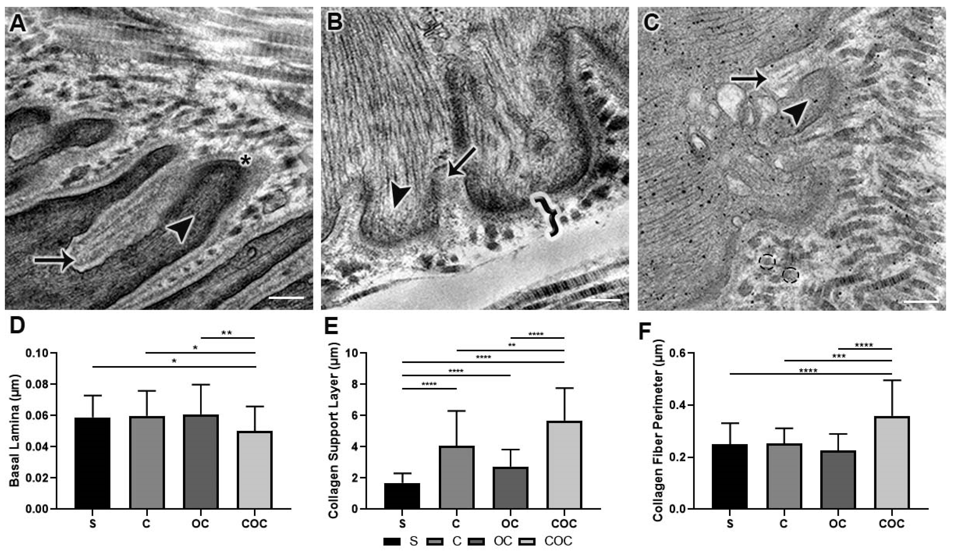 Biomedicines 10 00480 g005