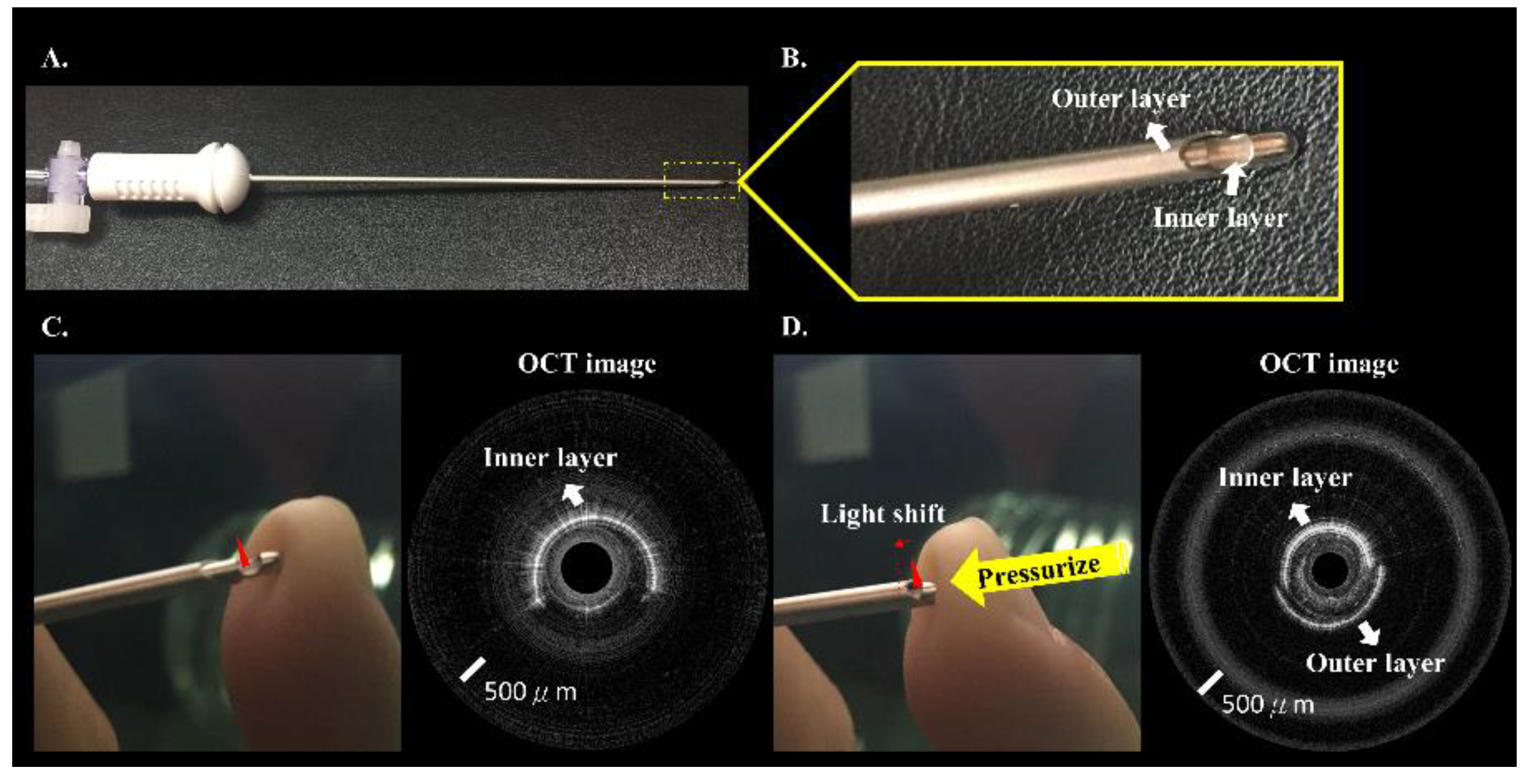 Biomedicines 10 00485 g002 550