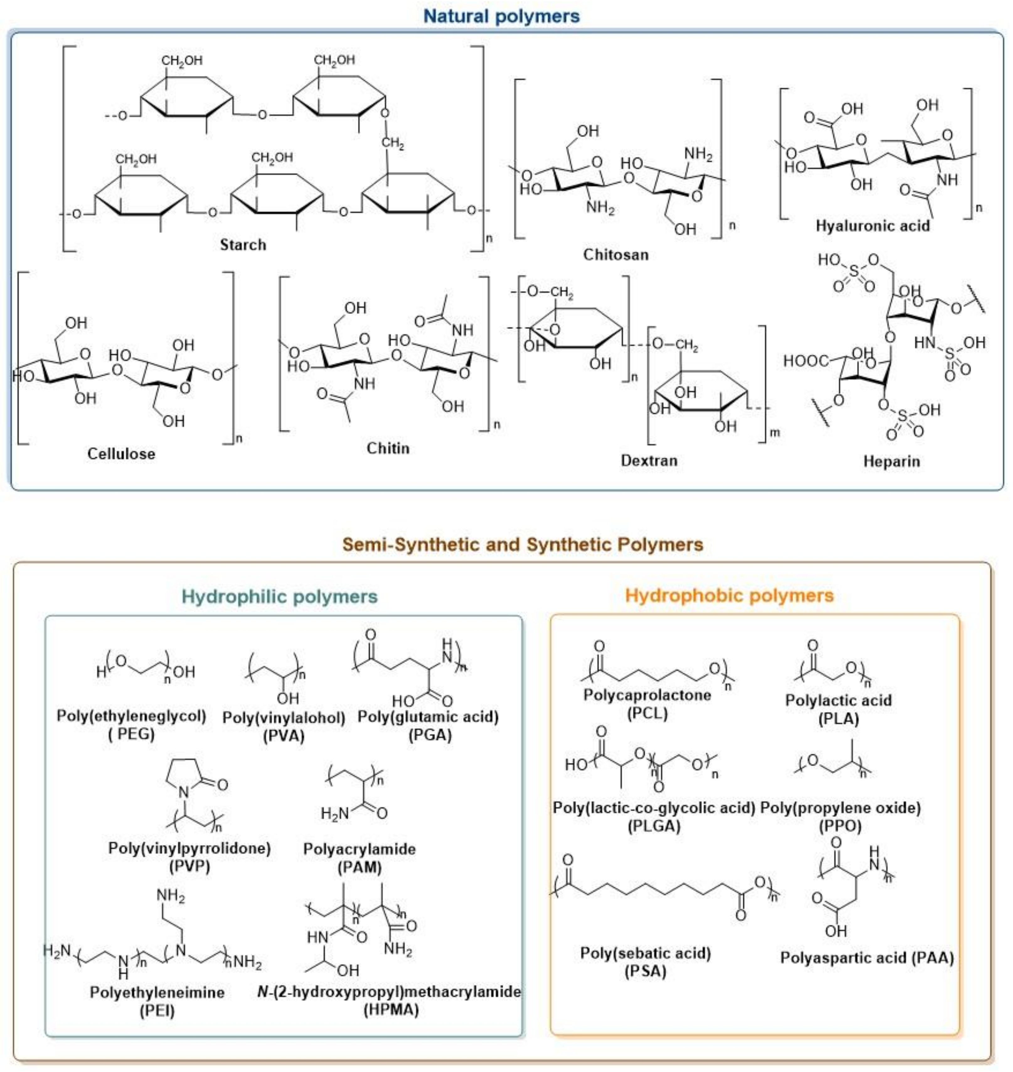 Biomedicines 10 00486 g005 Biomedicines 10 00486 g005