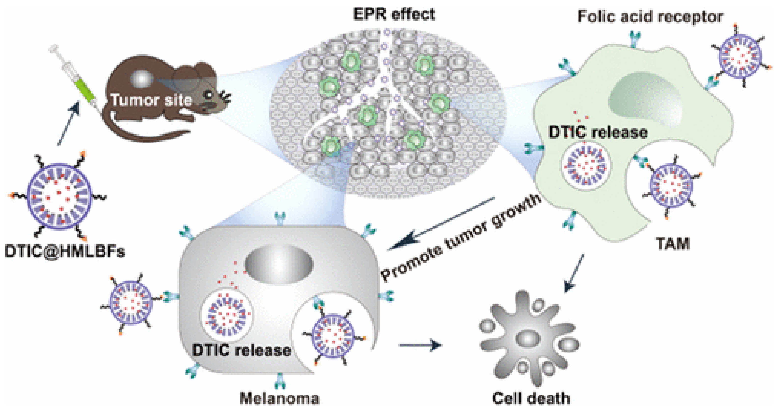 Biomedicines 10 00486 g007 Biomedicines 10 00486 g007
