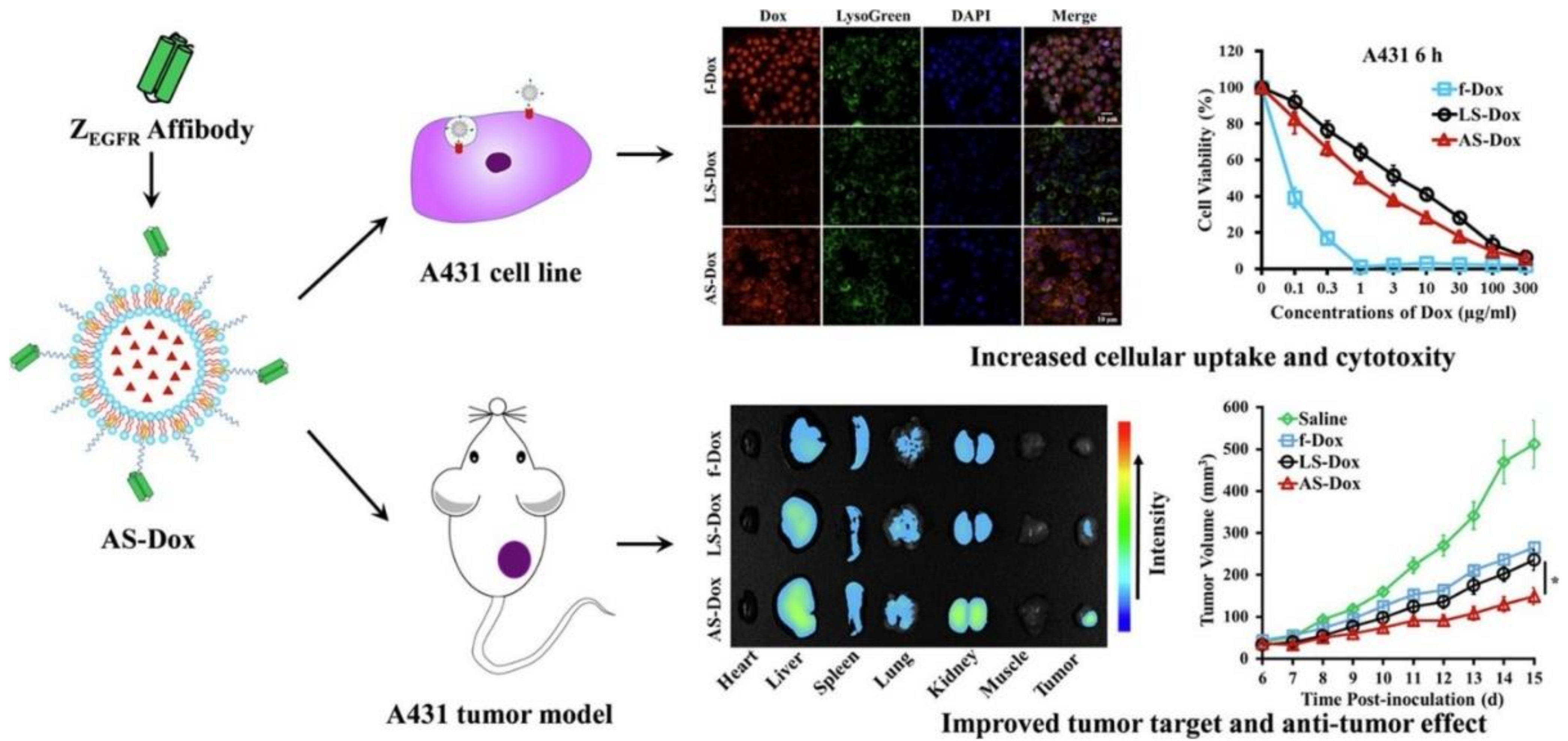 Biomedicines 10 00486 g009 Biomedicines 10 00486 g009