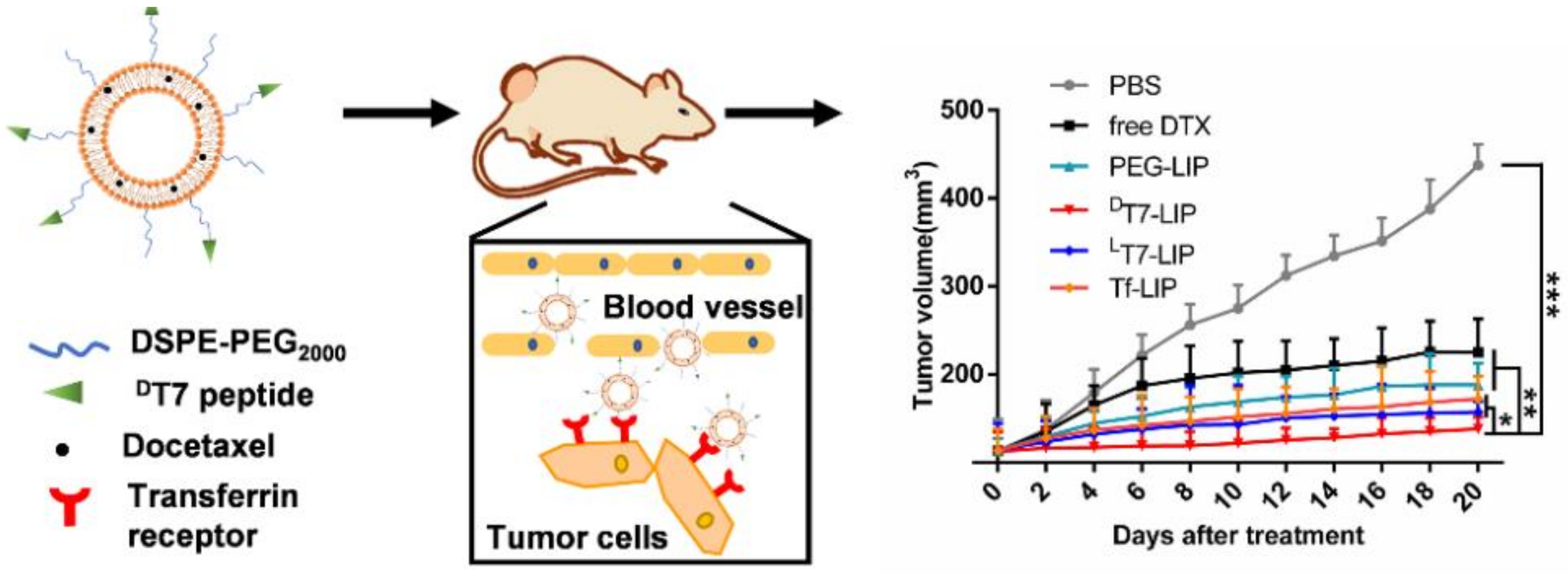 Biomedicines 10 00486 g010 Biomedicines 10 00486 g010