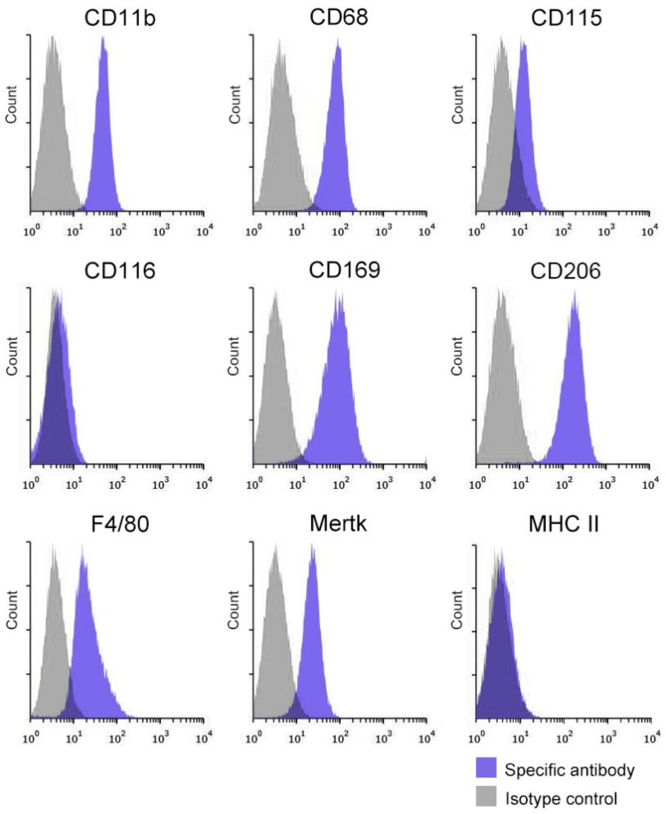 Biomedicines 10 00487 g002
