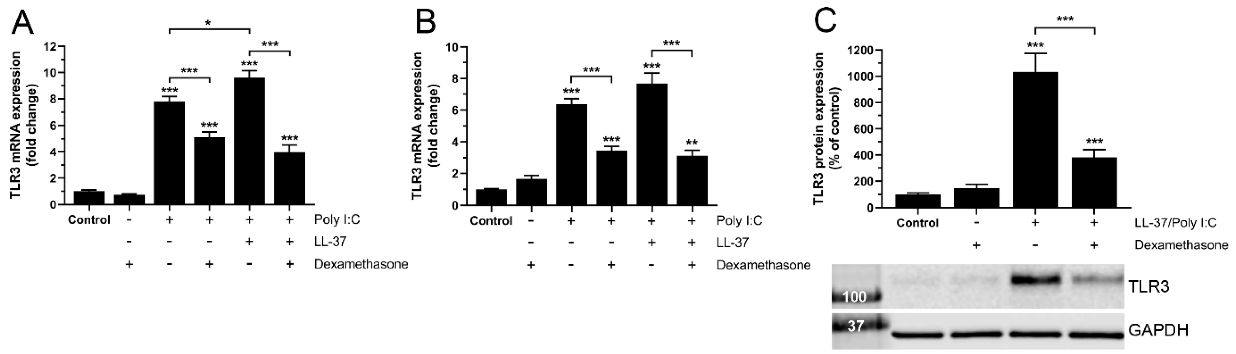 Biomedicines 10 00492 g001
