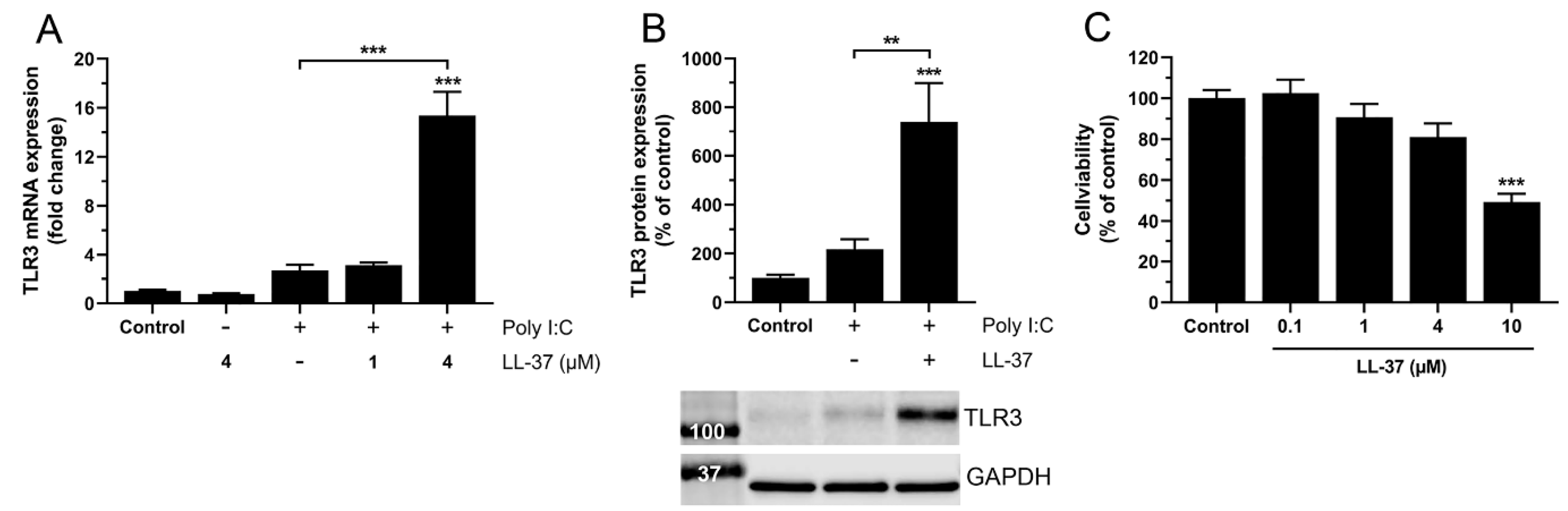 Biomedicines 10 00492 g004