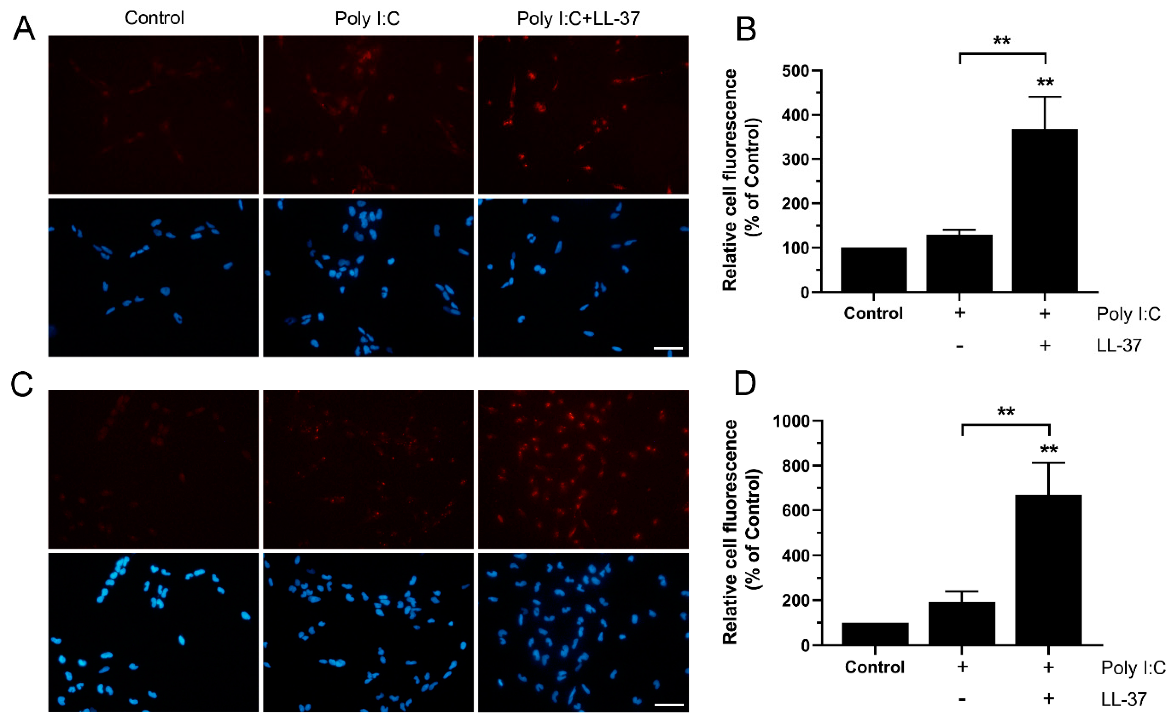 Biomedicines 10 00492 g005