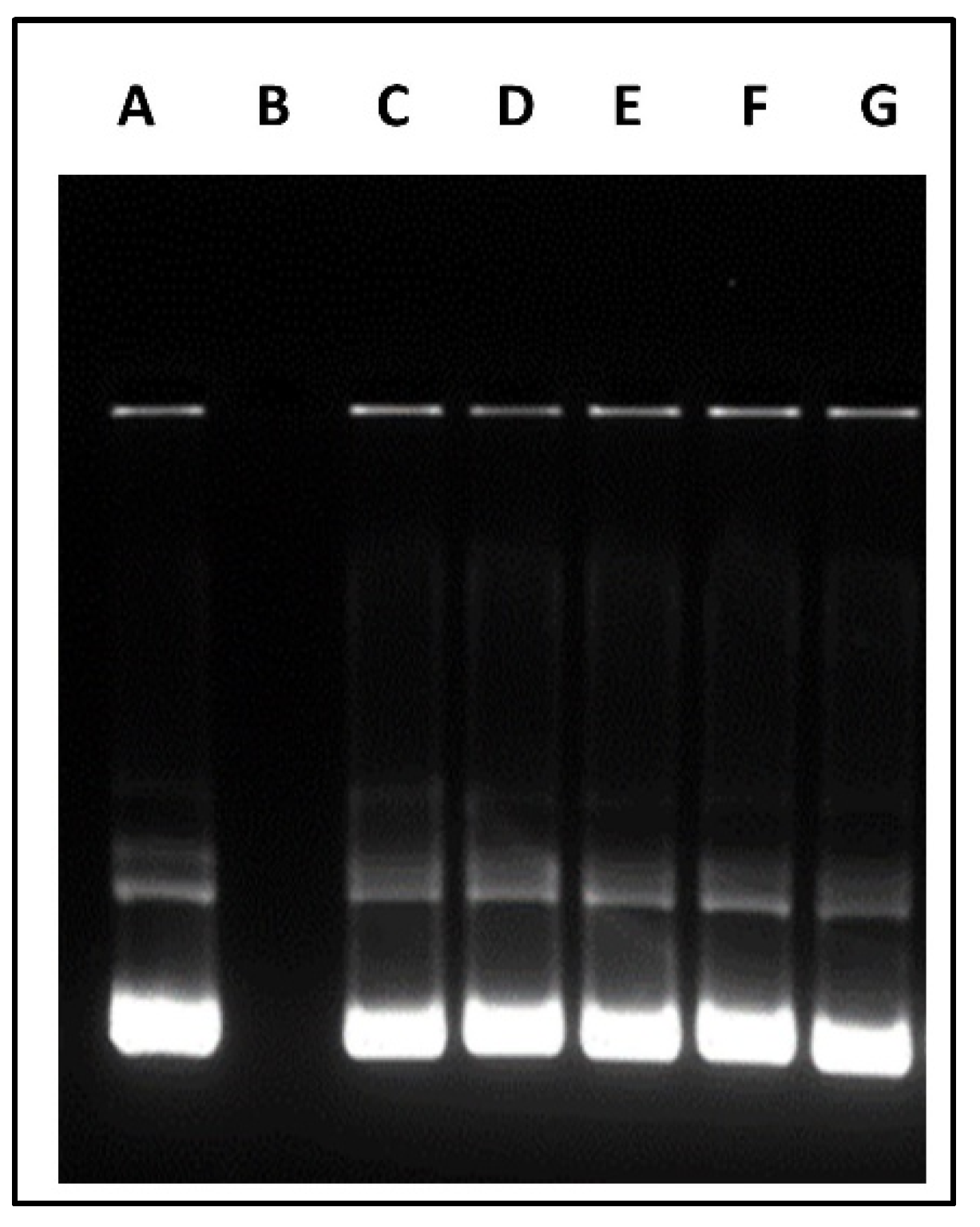 Biomedicines 10 00493 g004 550
