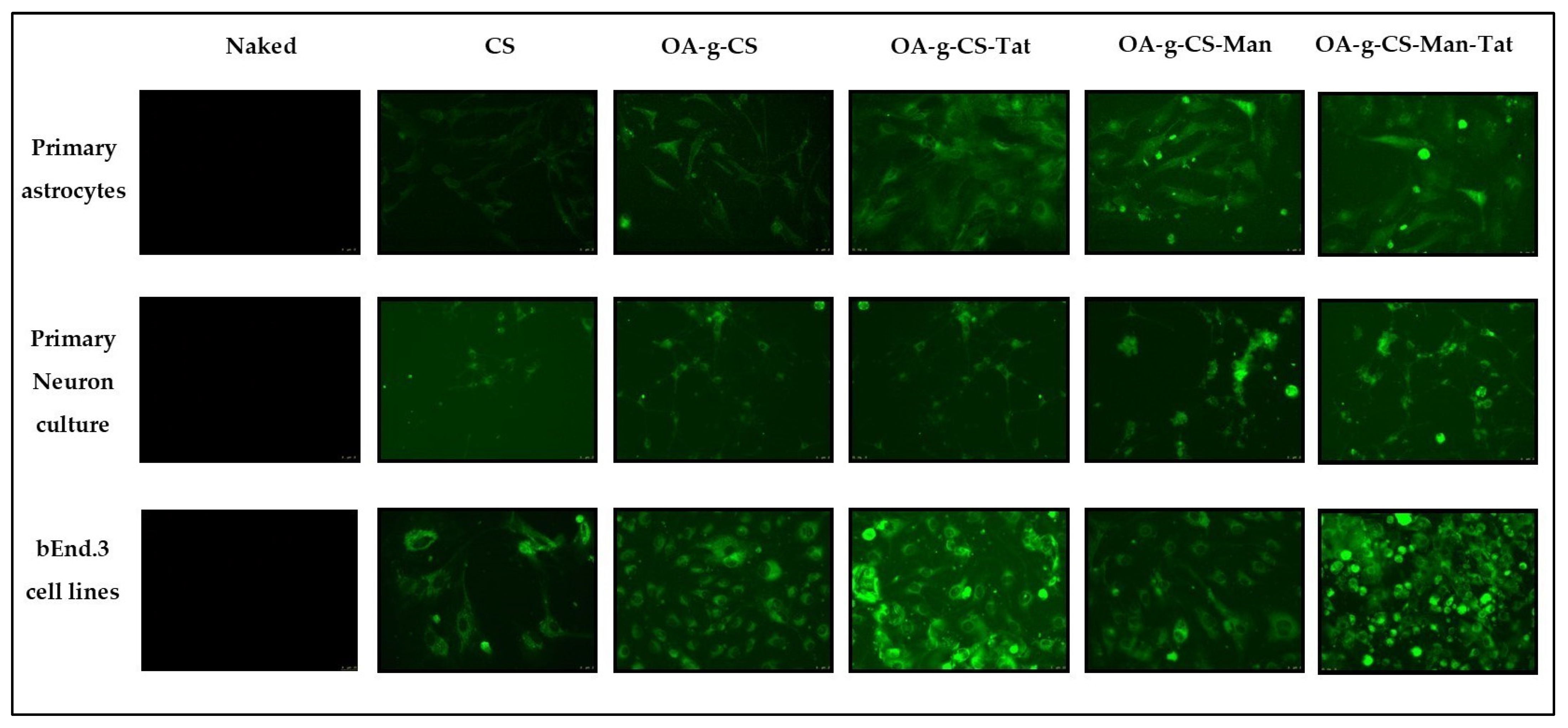Biomedicines 10 00493 g008 550