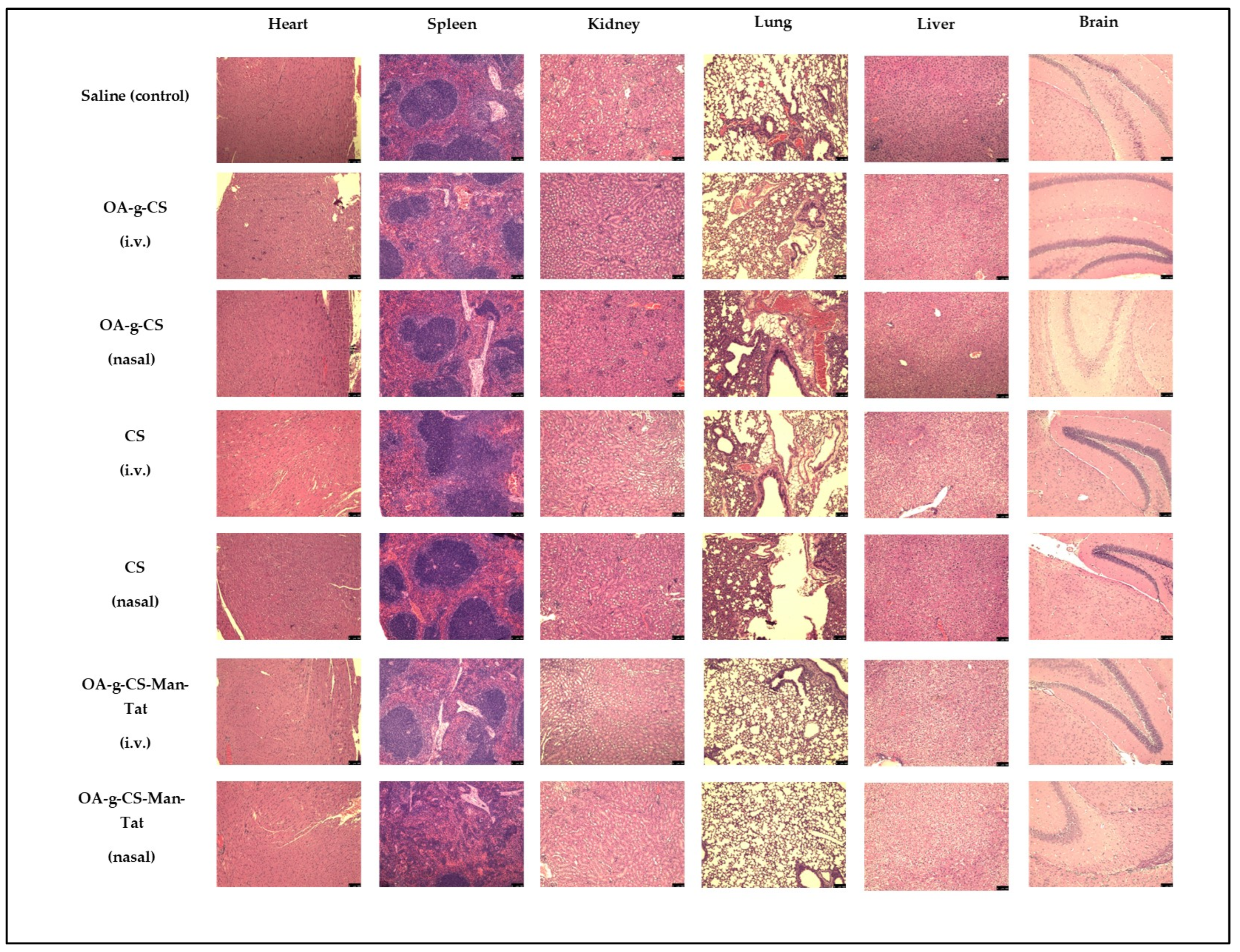 Biomedicines 10 00493 g011 550