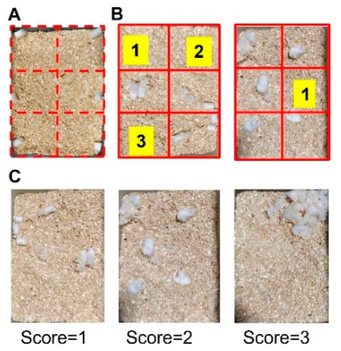 Biomedicines 10 00501 g002 550