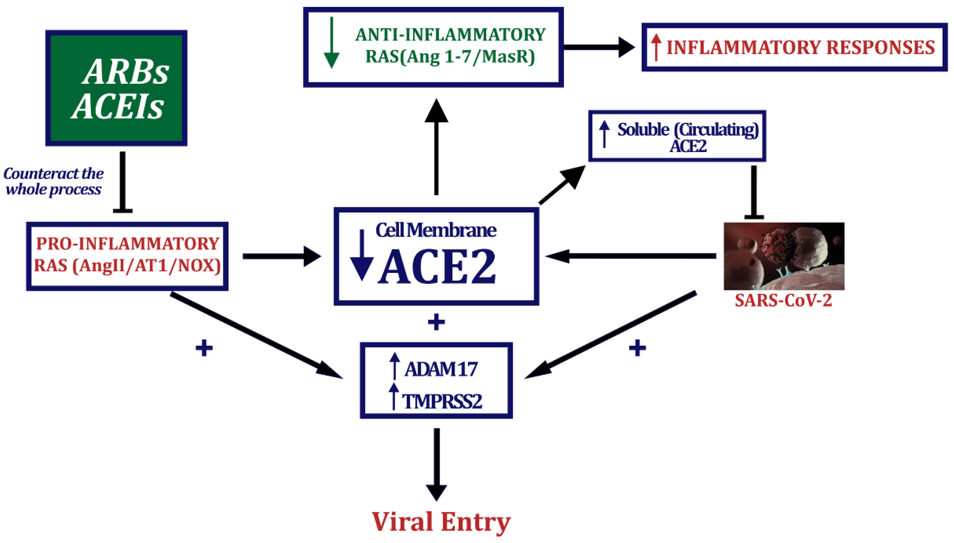 Biomedicines 10 00502 g002