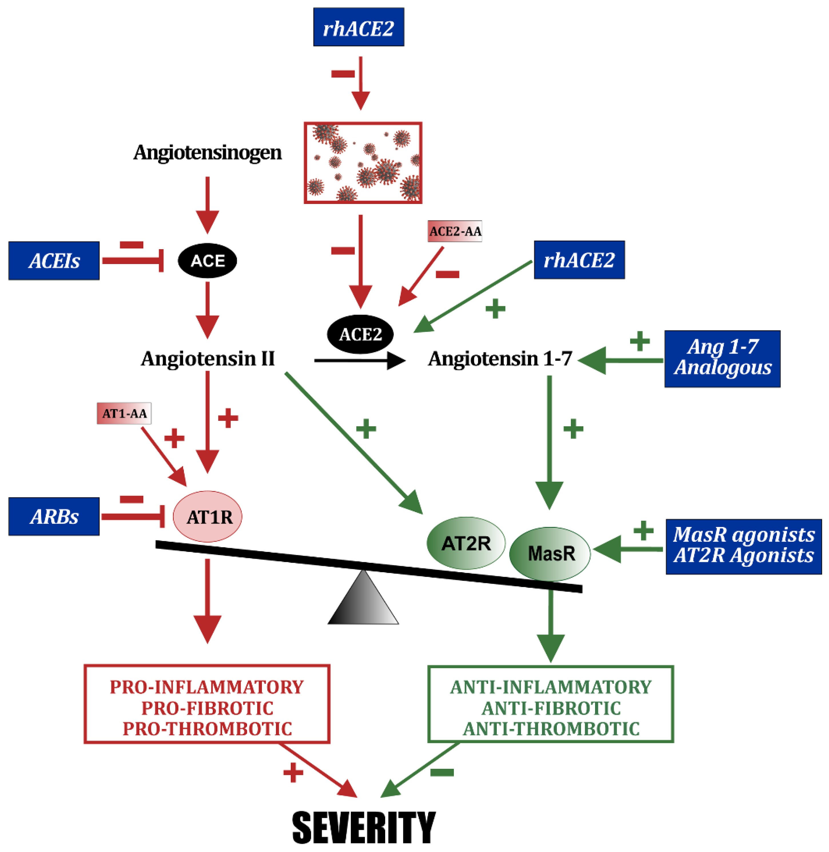 Biomedicines 10 00502 g003