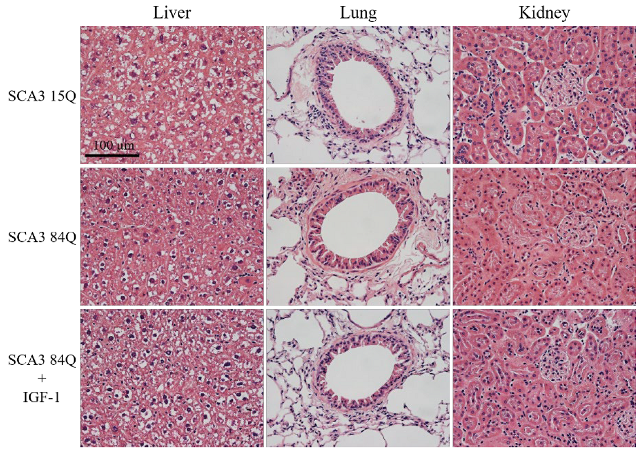 Biomedicines 10 00505 g007 Biomedicines 10 00505 g007