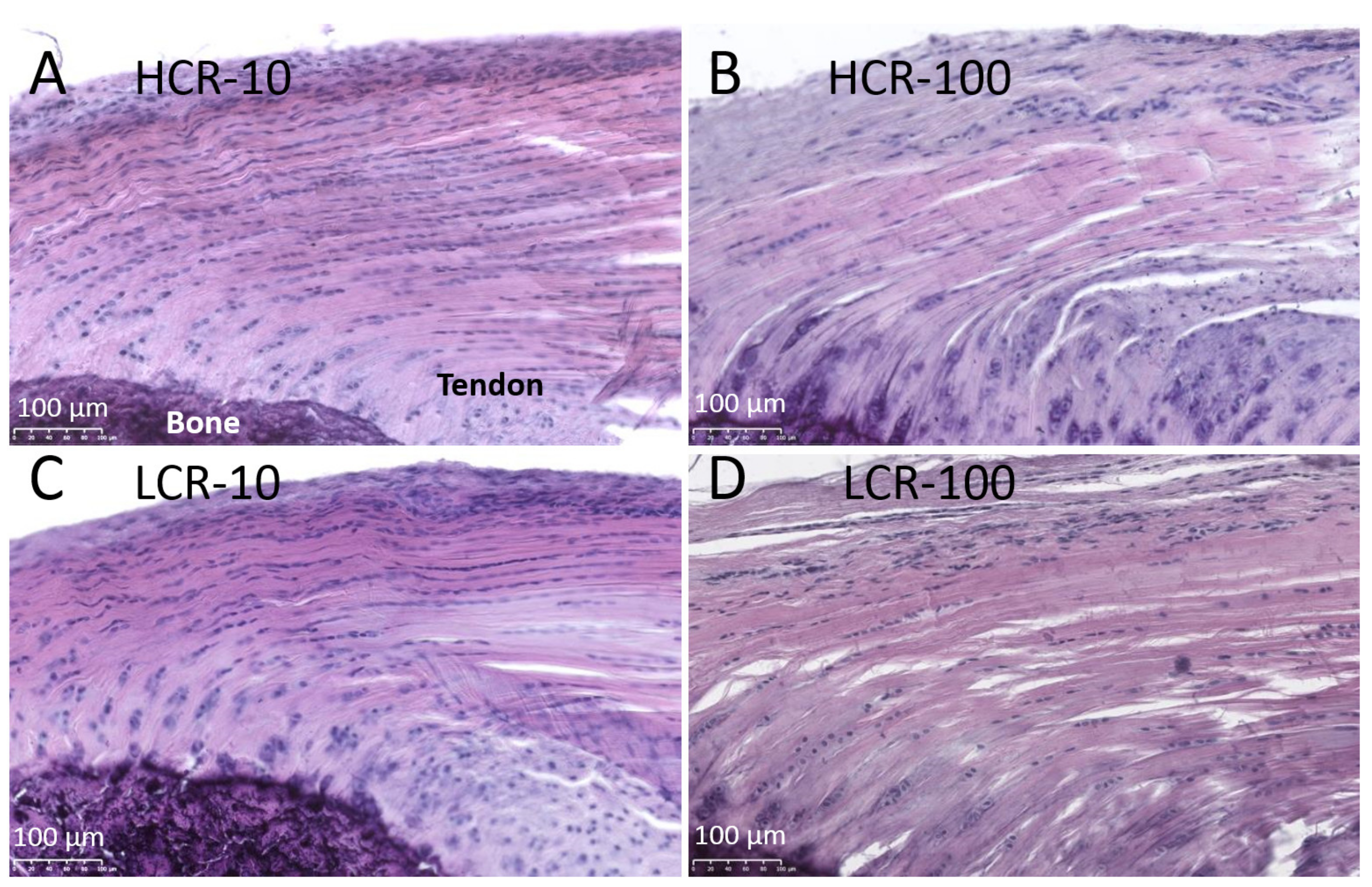 Biomedicines 10 00509 g002 Biomedicines 10 00509 g002