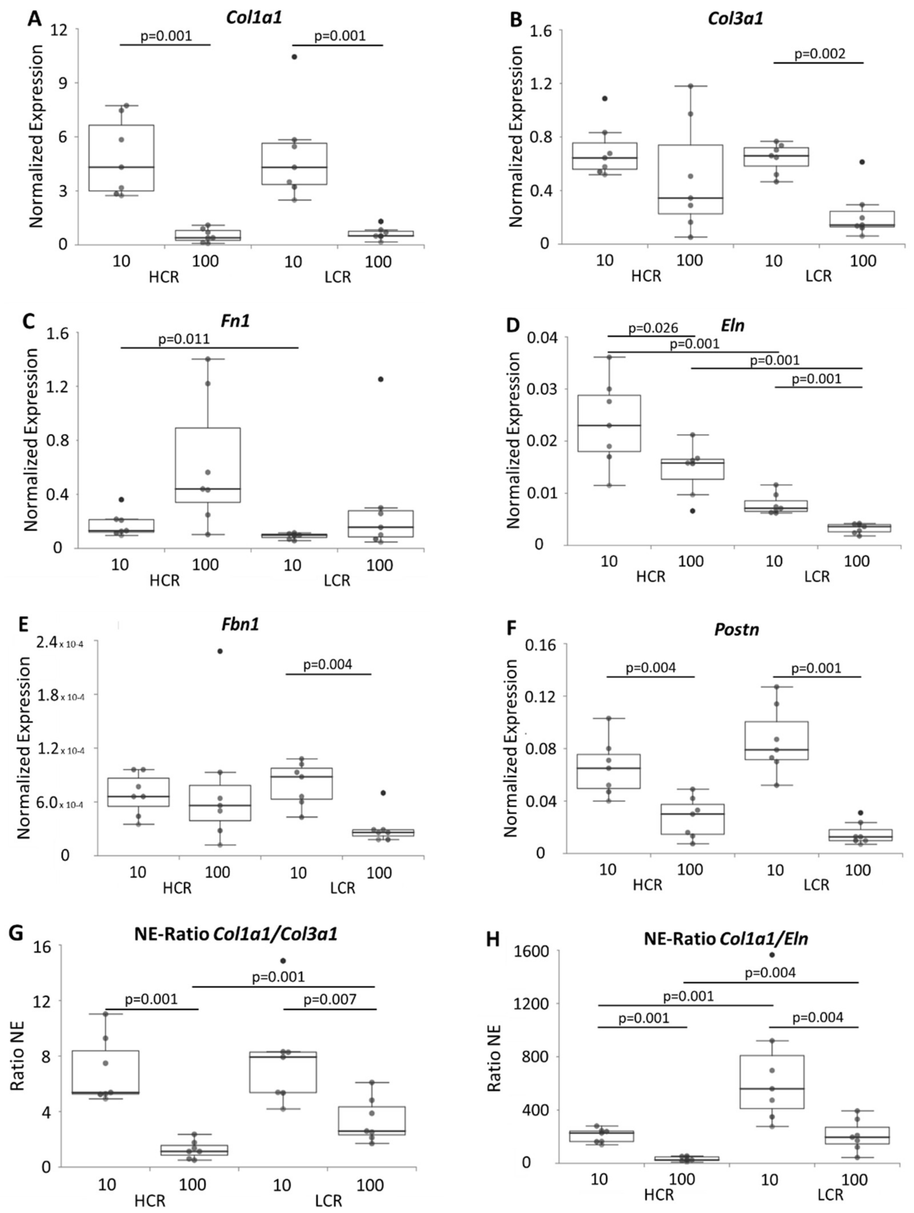 Biomedicines 10 00509 g004 Biomedicines 10 00509 g004