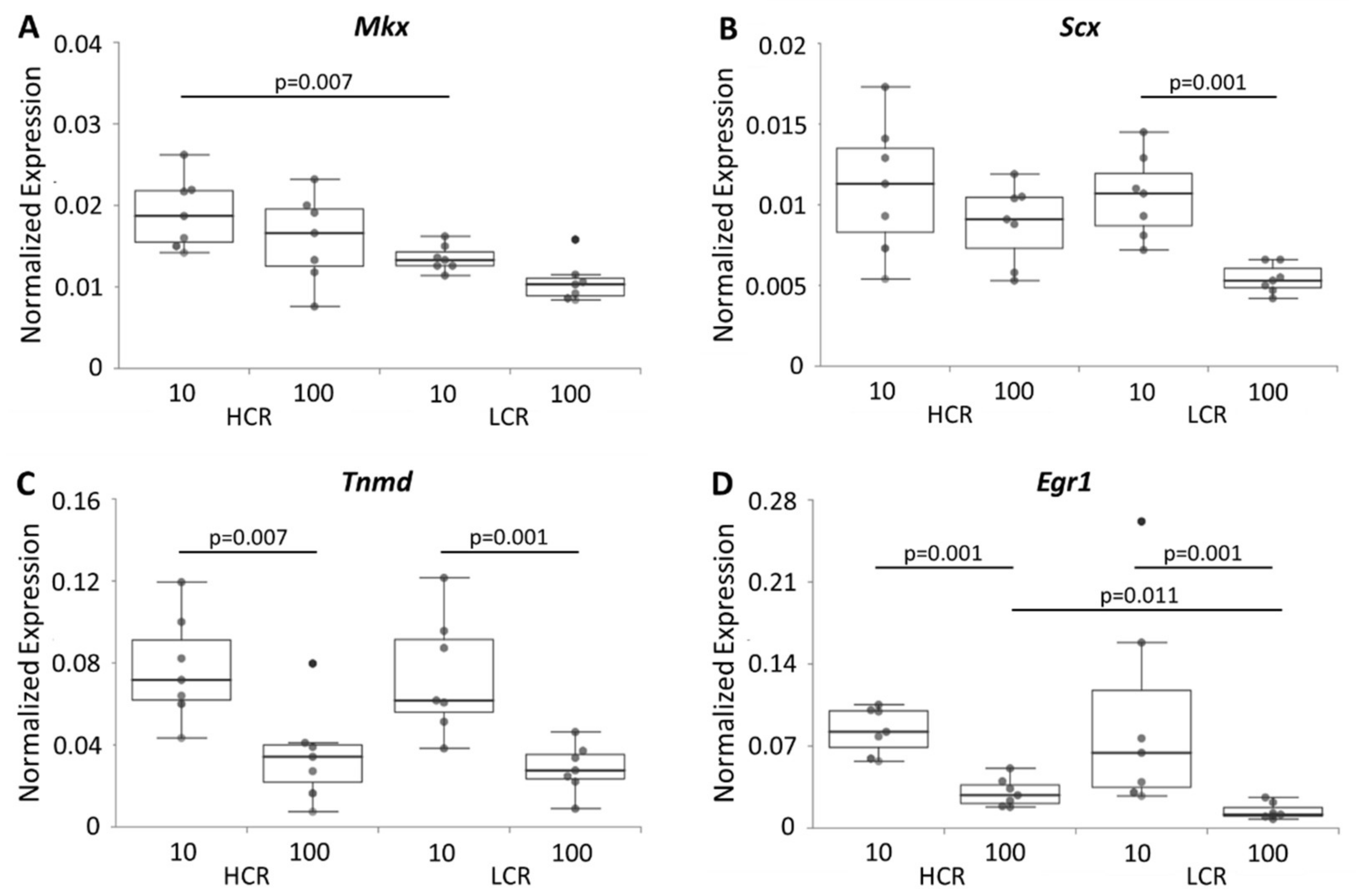 Biomedicines 10 00509 g005 Biomedicines 10 00509 g005