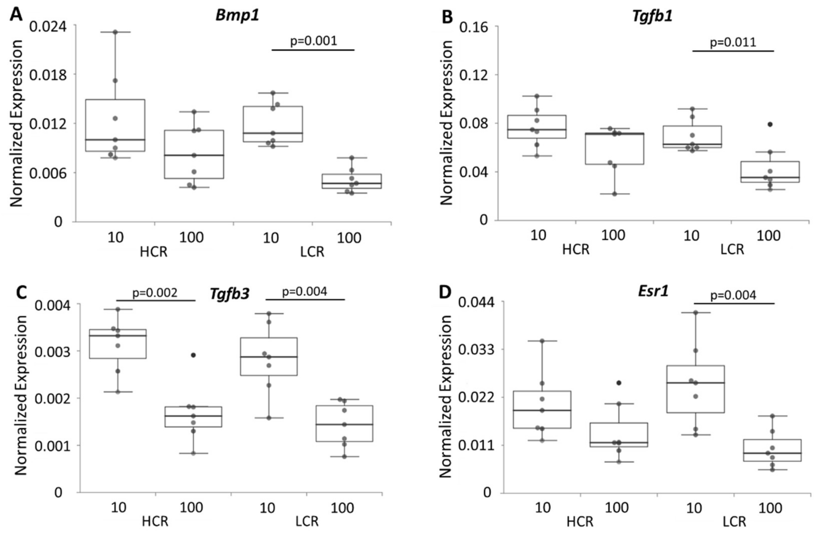 Biomedicines 10 00509 g006 Biomedicines 10 00509 g006
